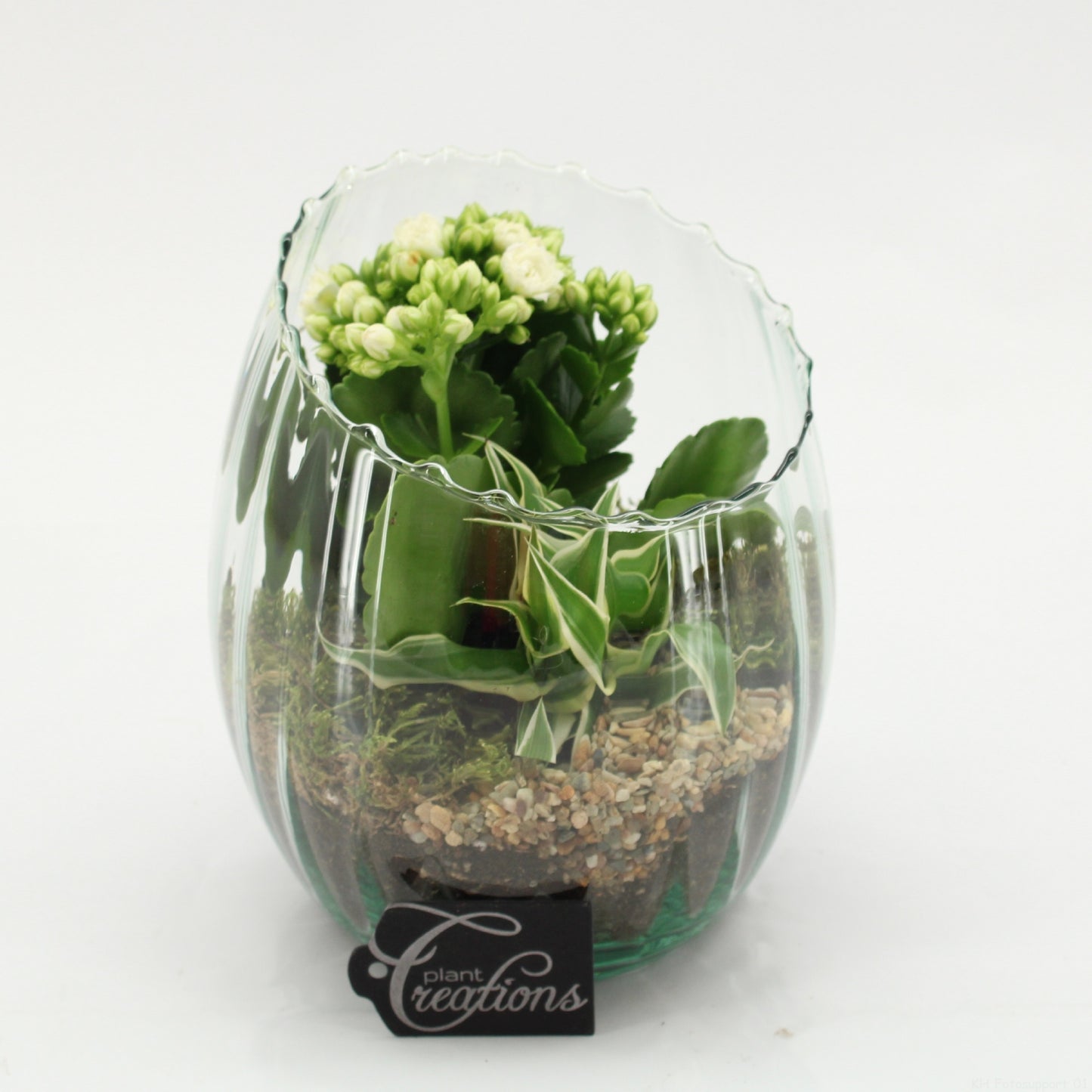 ESCR-2626W Essentials 20cm 16cm Pot