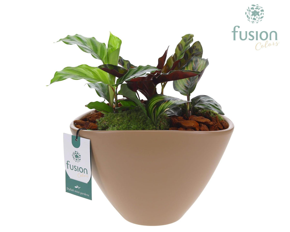 Pot keramiek ovaal Large beige met arrangement 25cm 23cm Pot