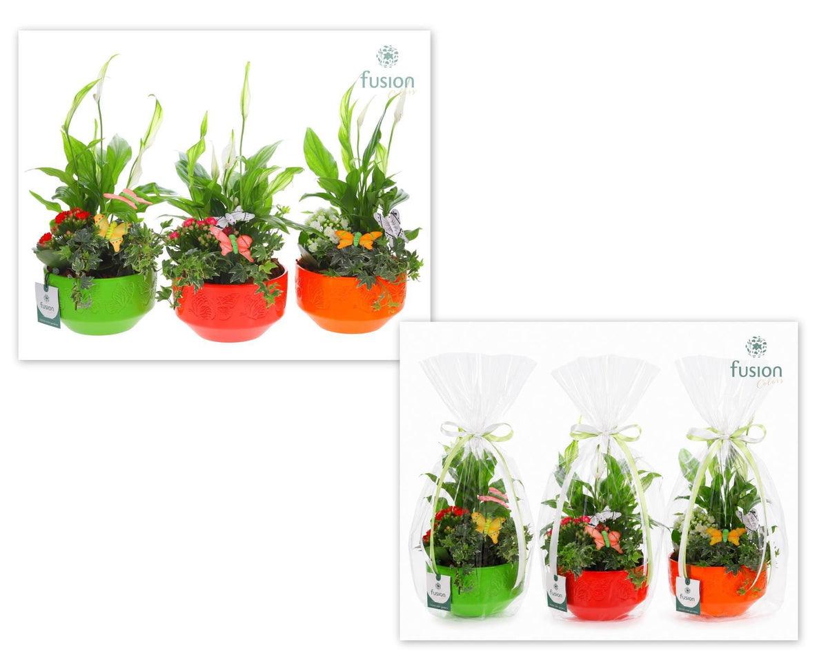 Keramiek schaal Small met arrangement 43cm 15cm Pot