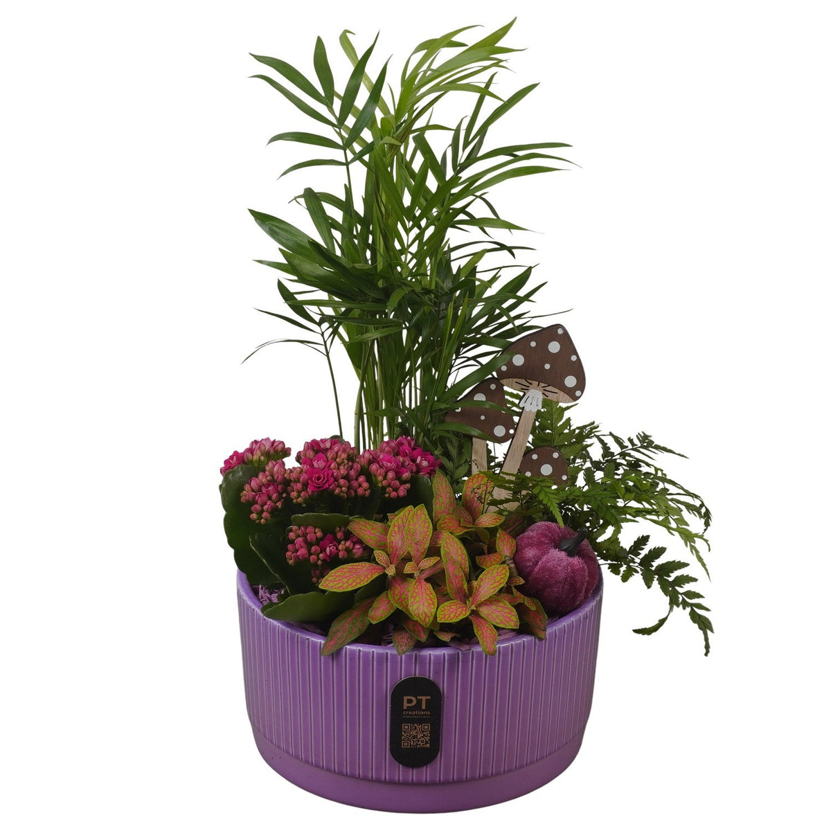Indoor arrangement 36cm 19cm Pot