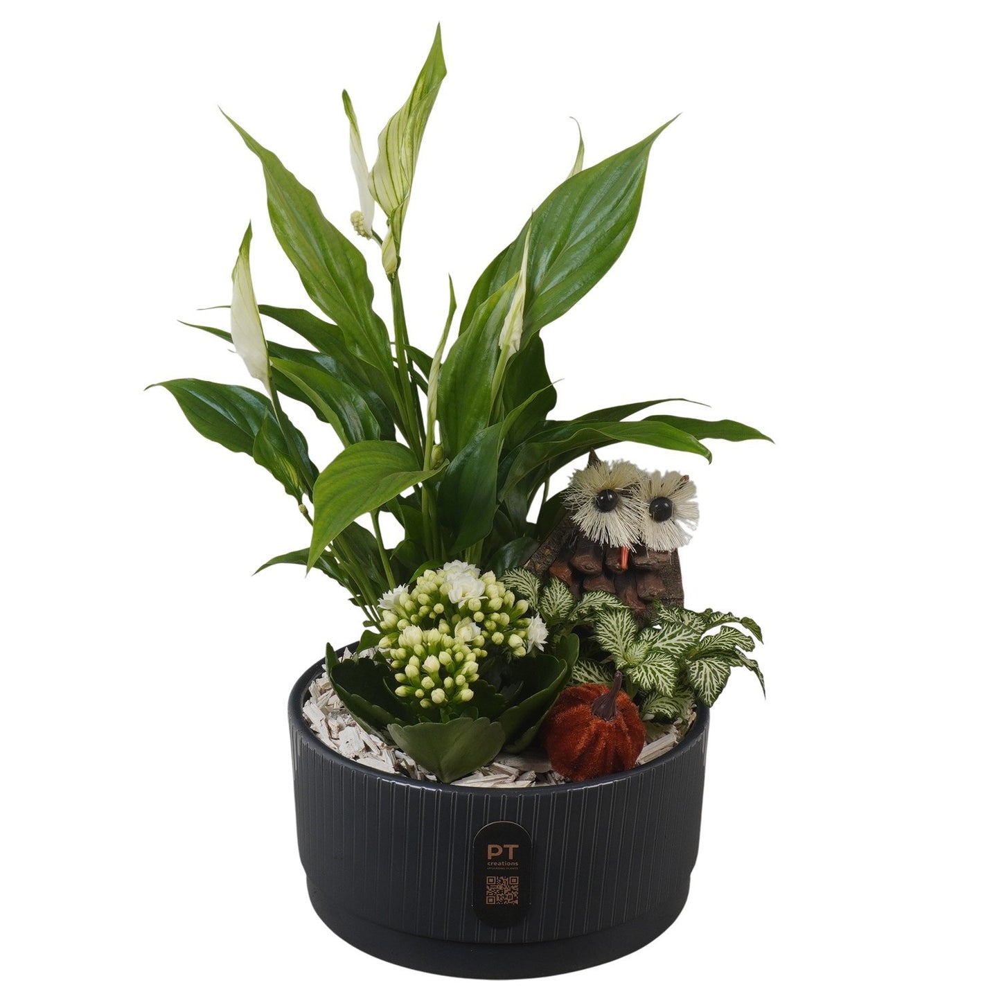 Indoor arrangement 38cm 19cm Pot