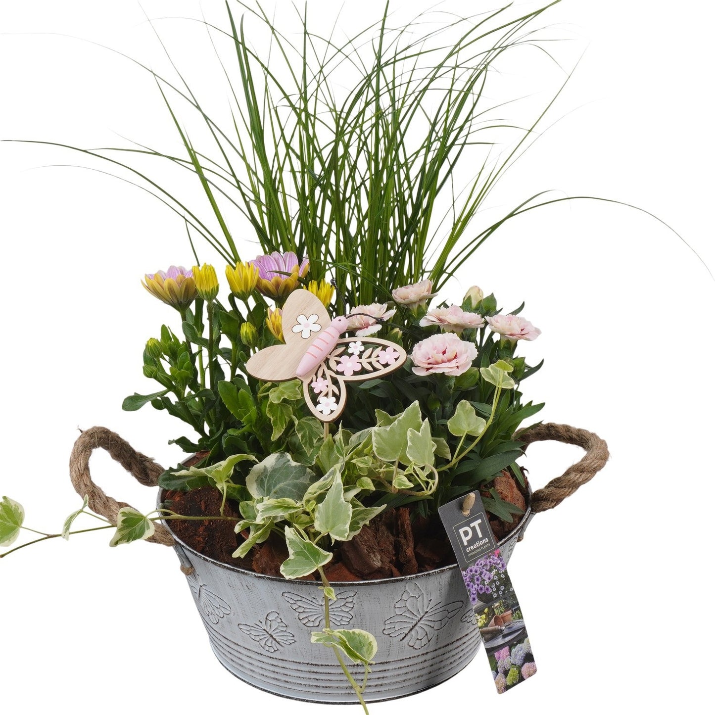 Outdoor arrangement 43cm 23cm Pot