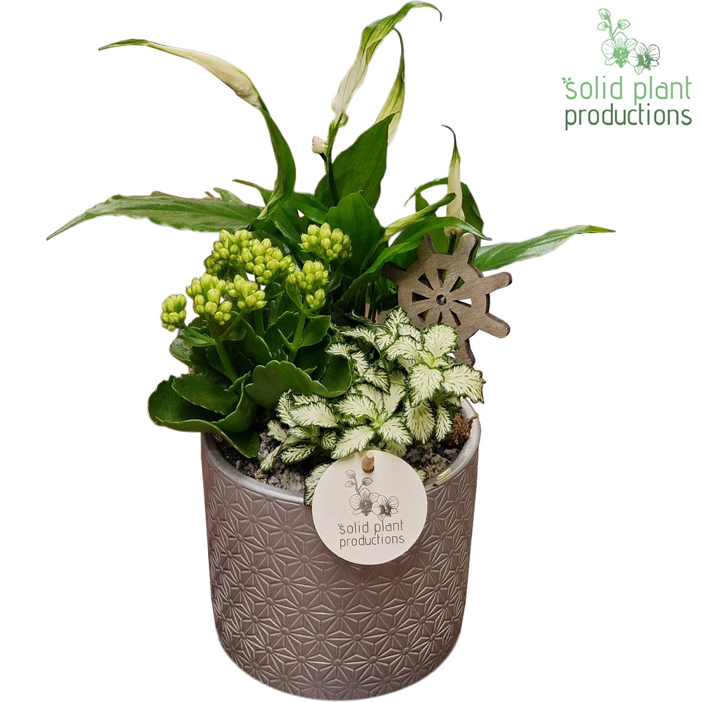 SP001 Amy Steel 35cm 14cm Pot