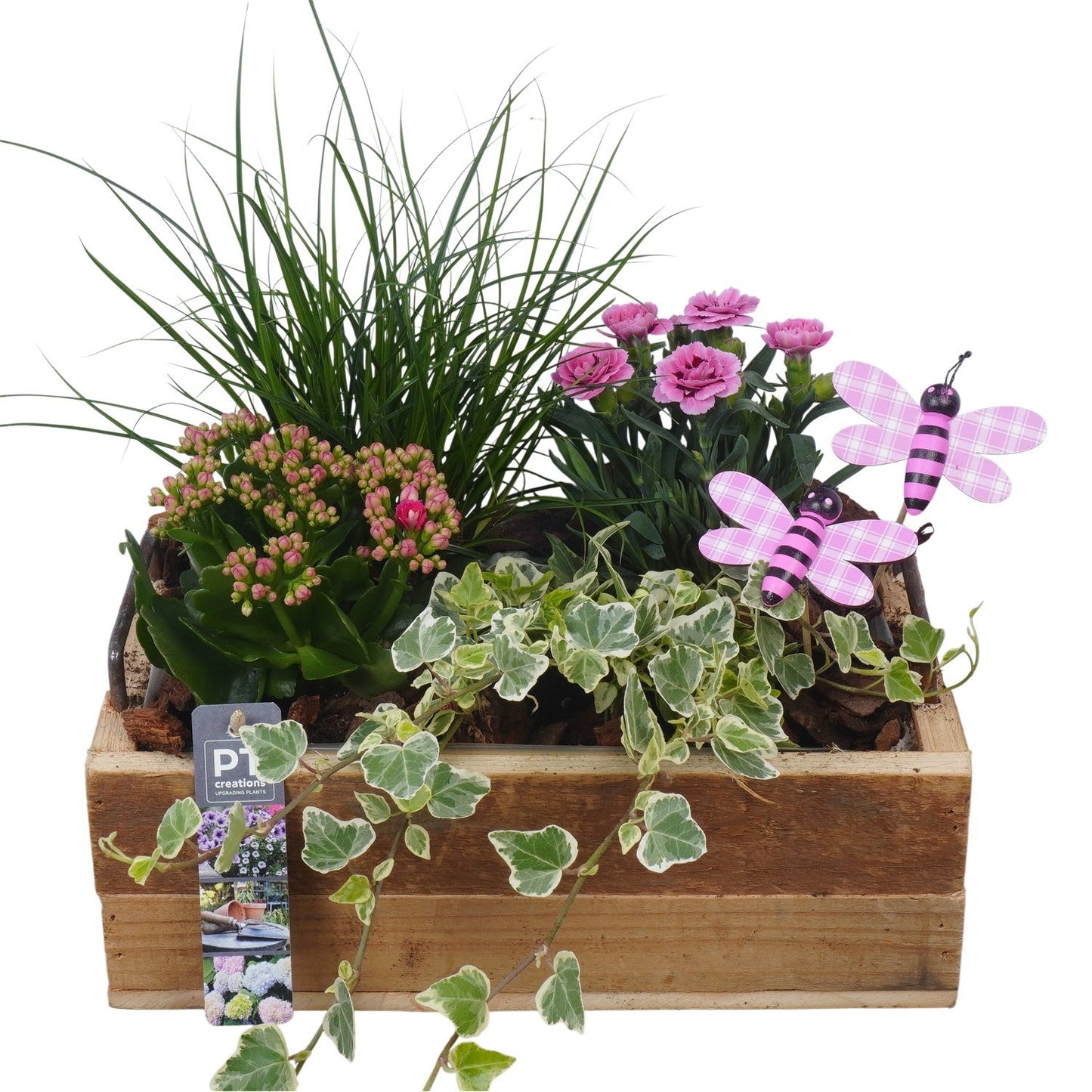 arr. PM196 34cm 30cm Pot