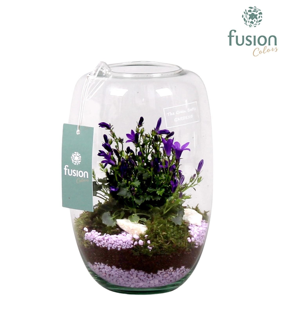 Green Bottle Isabella Small met Campanula 24uur levertijd 25cm 15cm Pot