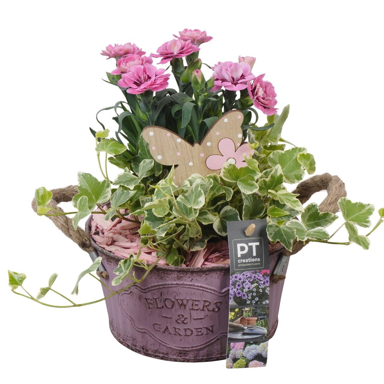 Outdoor arrangement 21cm 16cm Pot