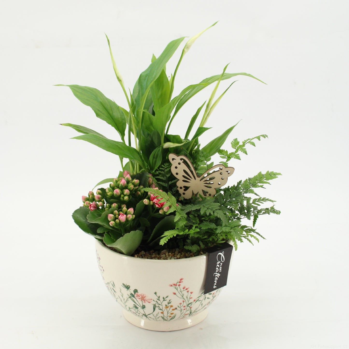 ESCR-2602RZ Essentials 35cm 17cm Pot