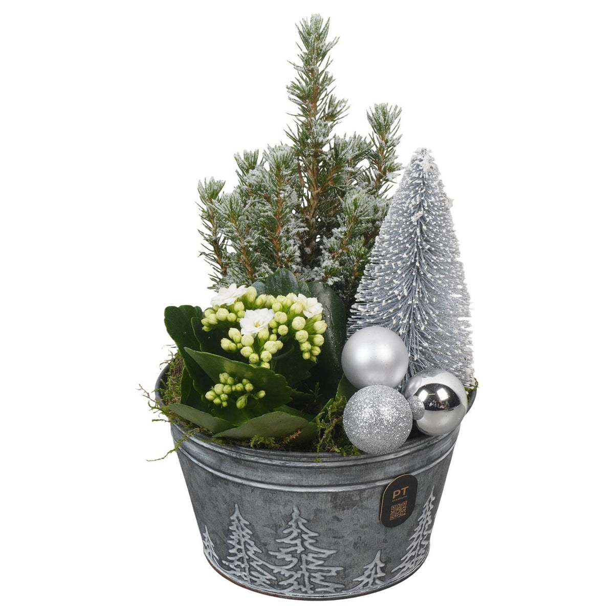 Christmas arrangement 27cm 15cm Pot
