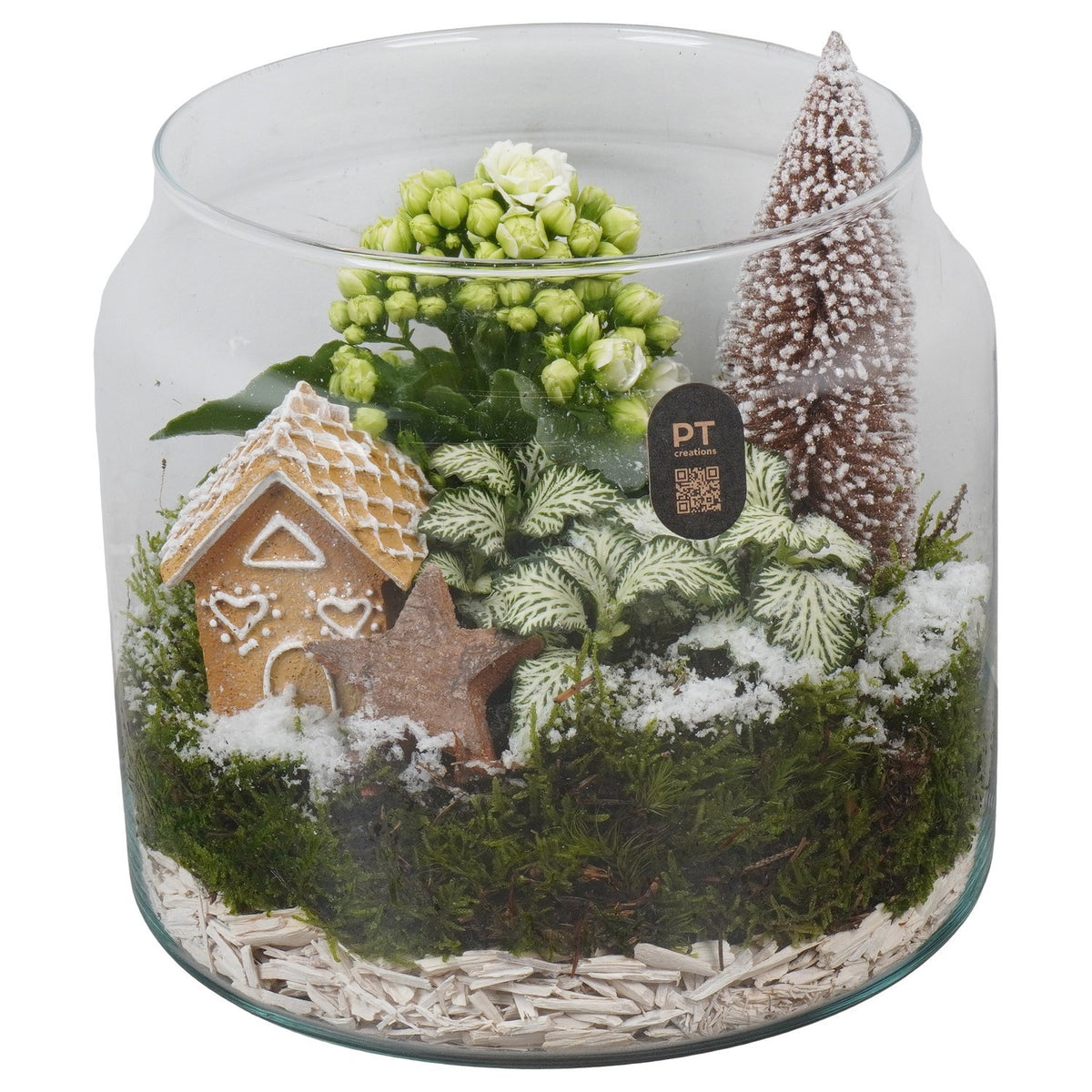 Christmas arrangement 21cm 19cm Pot