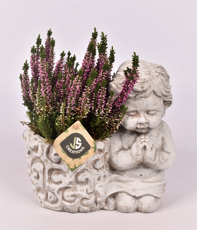 arr. all saints day 20cm Pot