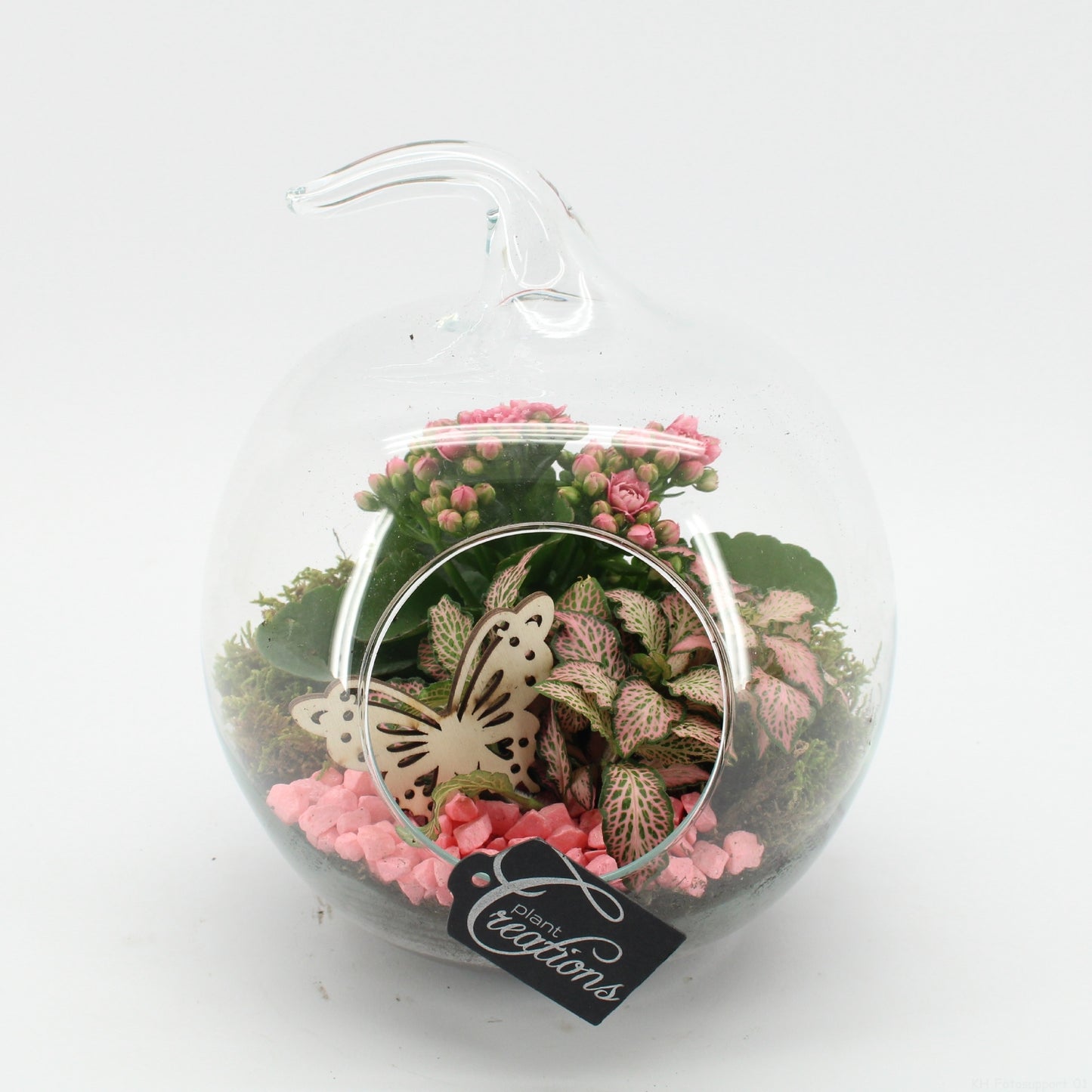 ESCR-2631RZ Essentials terrarium 24cm 20cm Pot