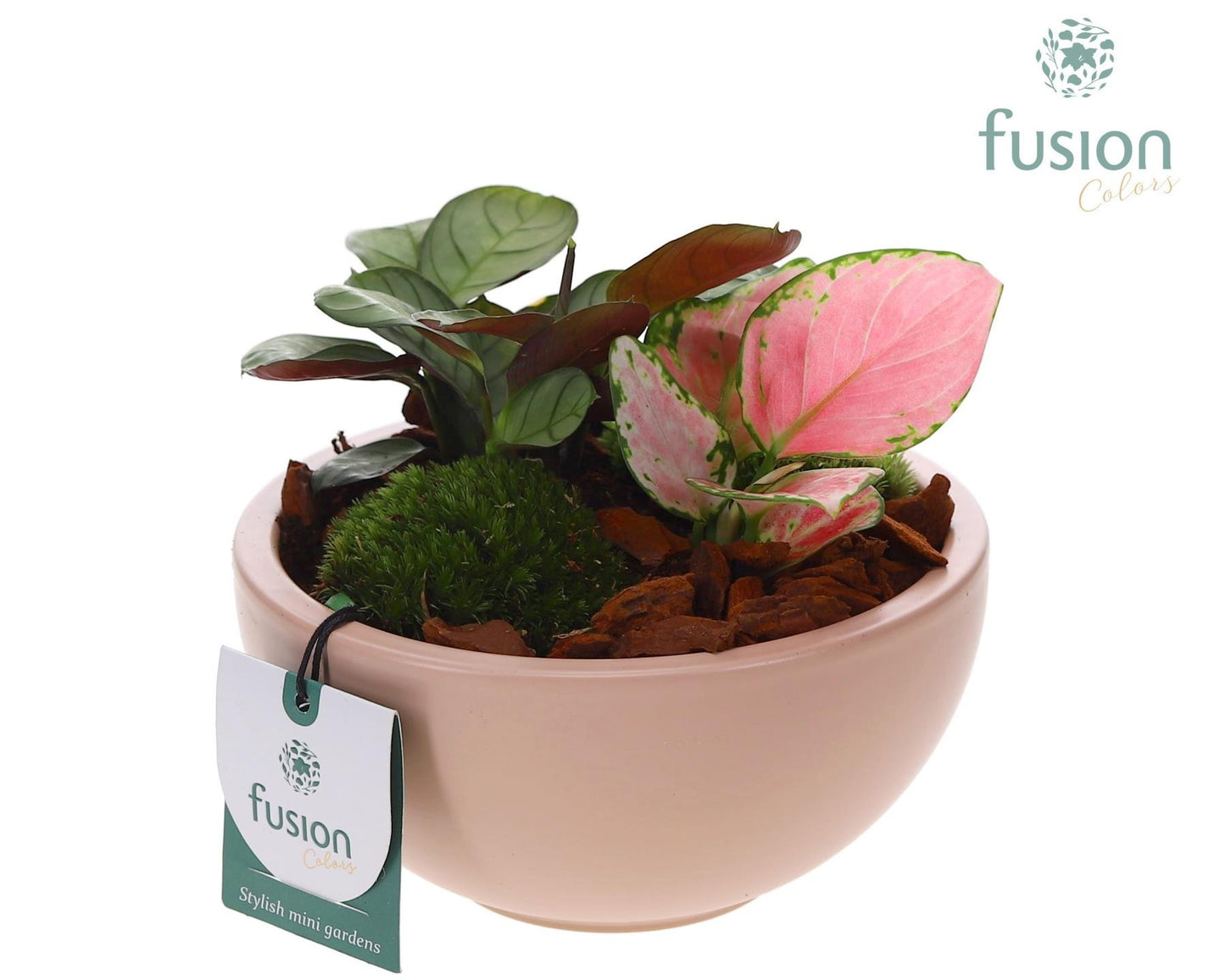 Schaal keramiek Moon Small blush pink met groene planten 20cm 15cm Pot