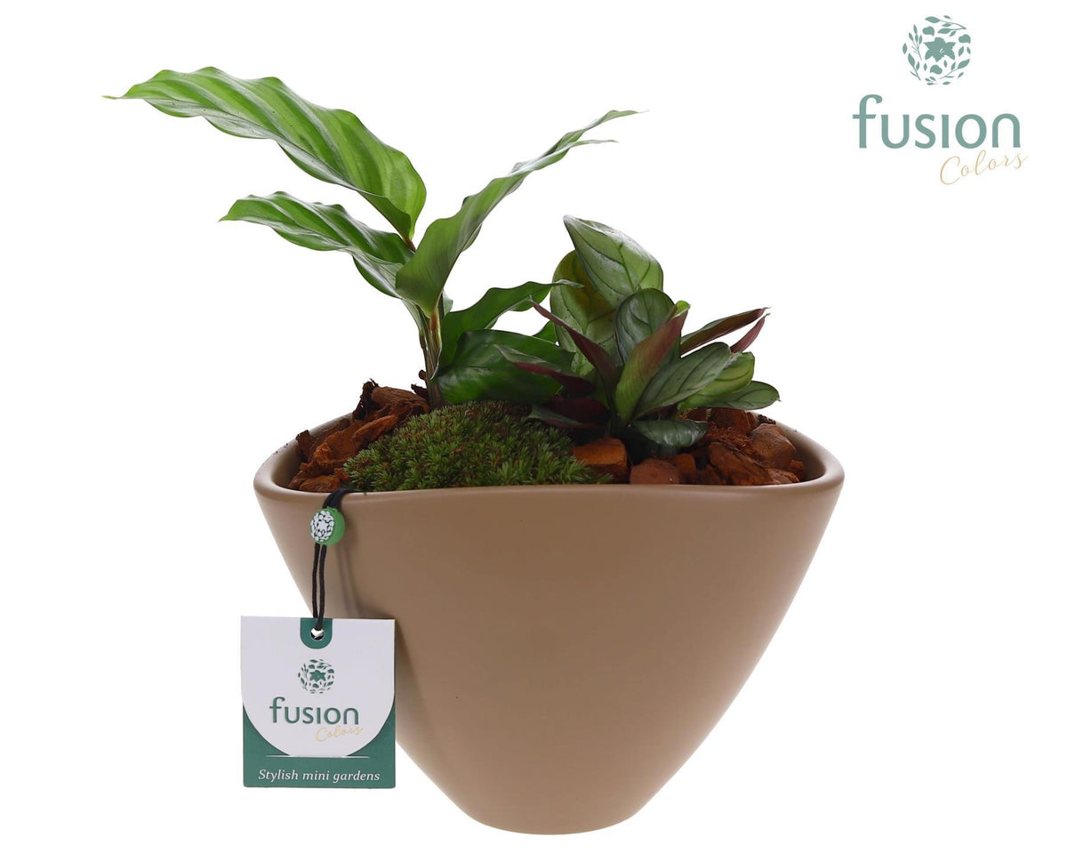 Pot keramiek ovaal Medium beige met Arrangement 25cm 18cm Pot