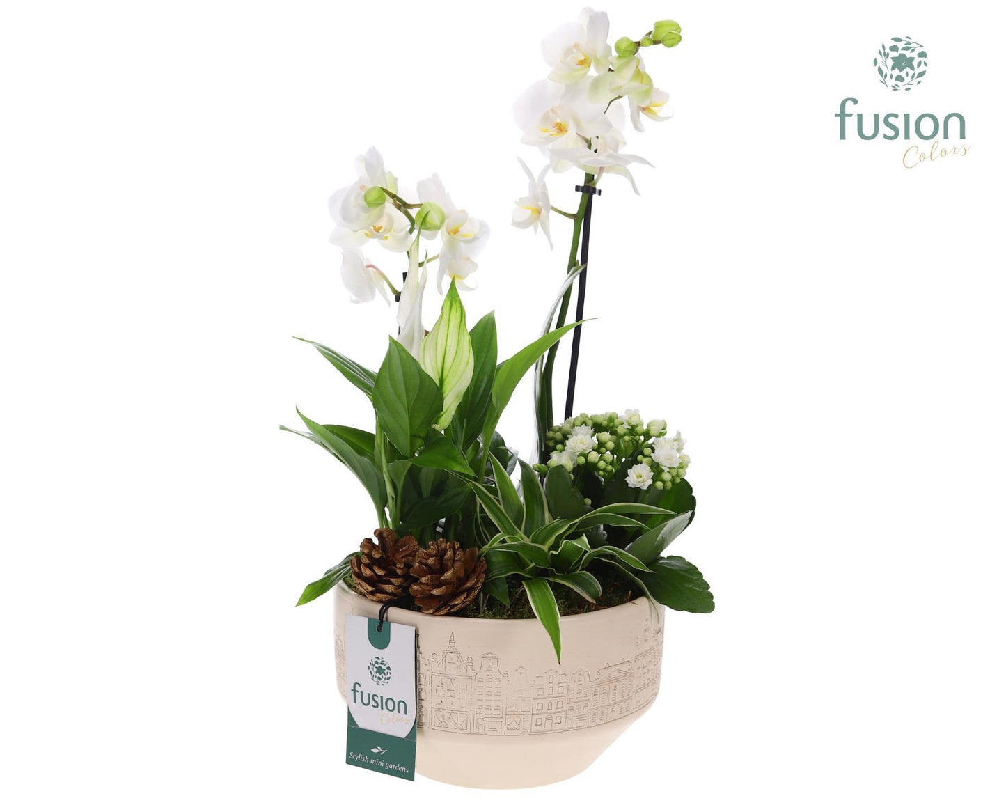 Keramiek schaal Medium met arrangement 43cm 18cm Pot