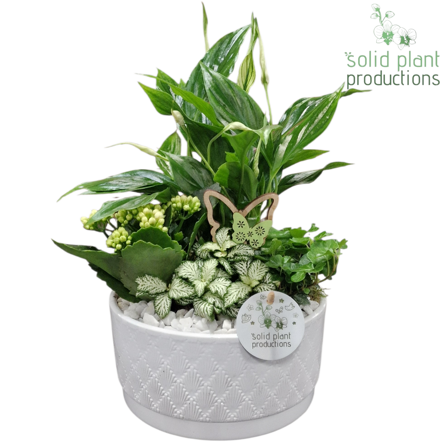 SP003 Loes White 35cm 18cm Pot