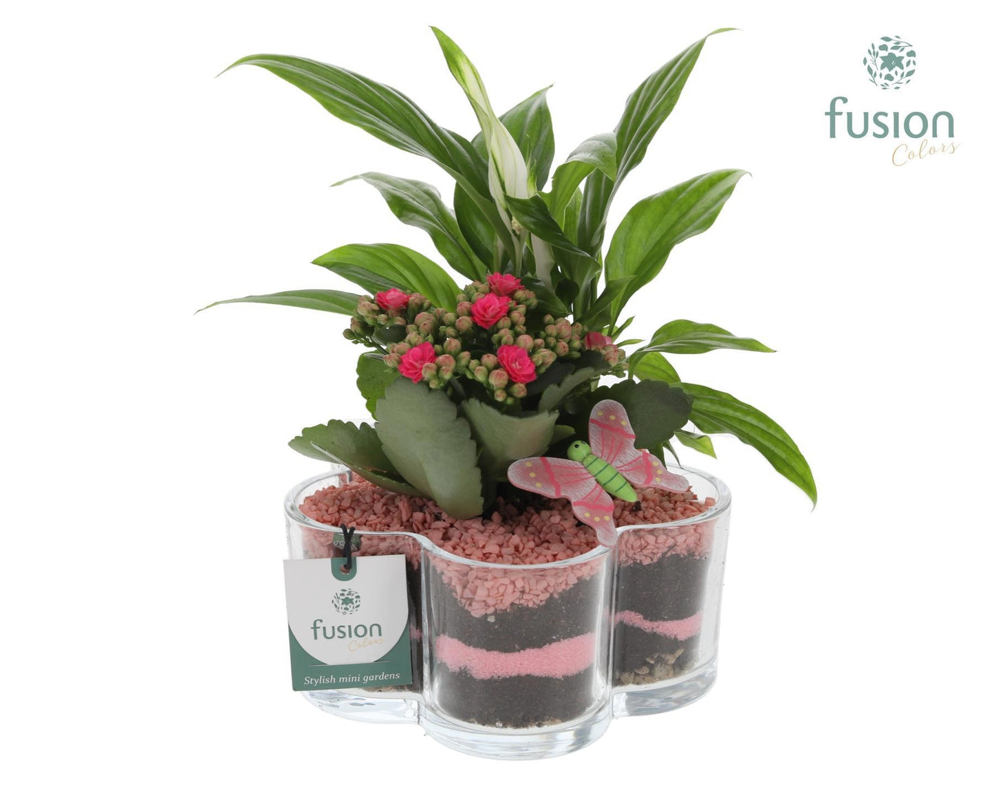 Fusioncolors BV Glas Bloemschaalmet arrangement en vlinder 2pp Pack of 4