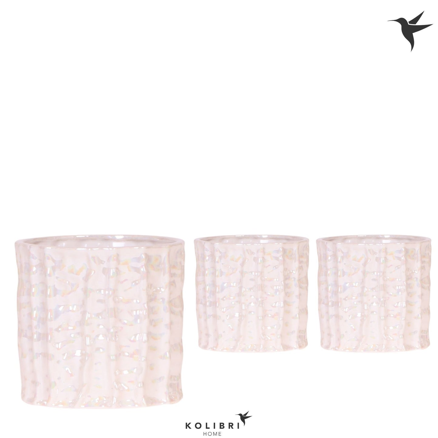 OK Plant Kolibri Home Oyster pot Pack of 5