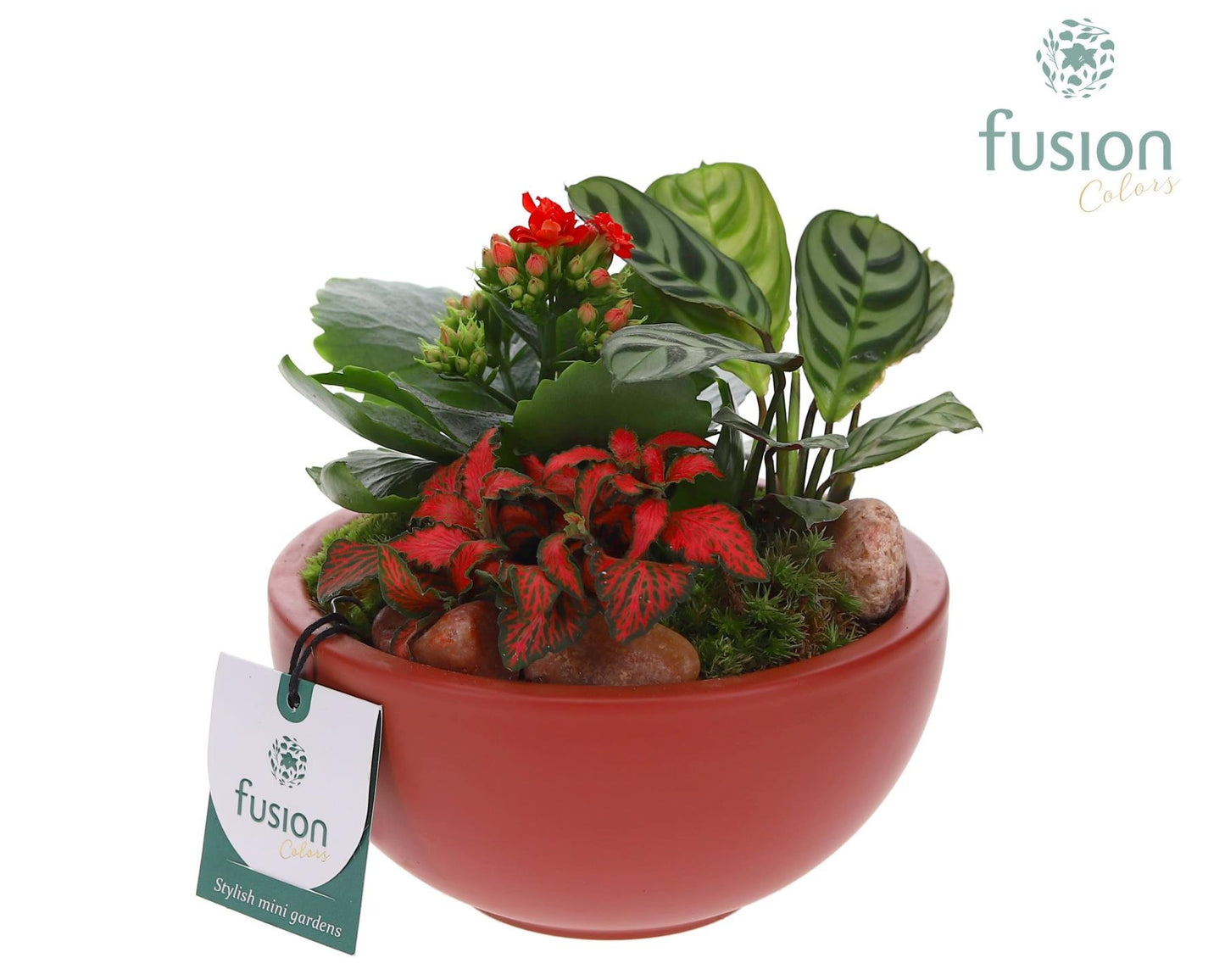 Schaal keramiek Moon Small marsala rood Love met arrangement 20cm 15cm Pot