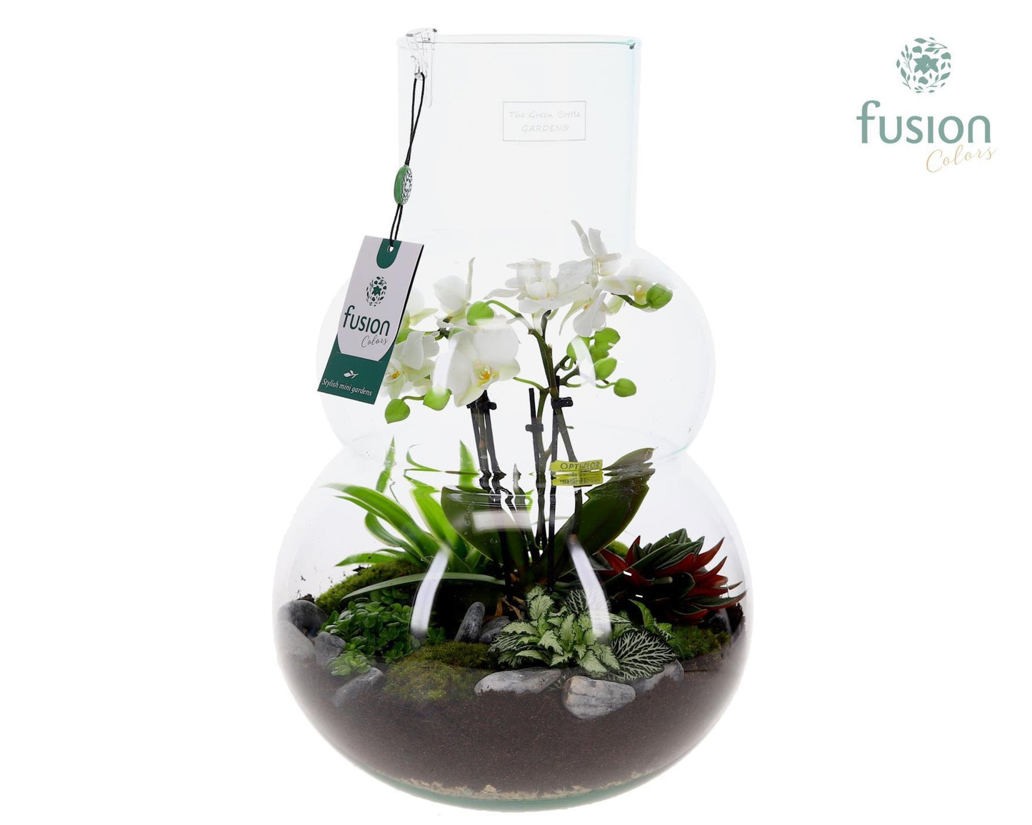 Fusioncolors BV Green Bottle Olaf Large met Phalaenopsis arrangement Pack of 2