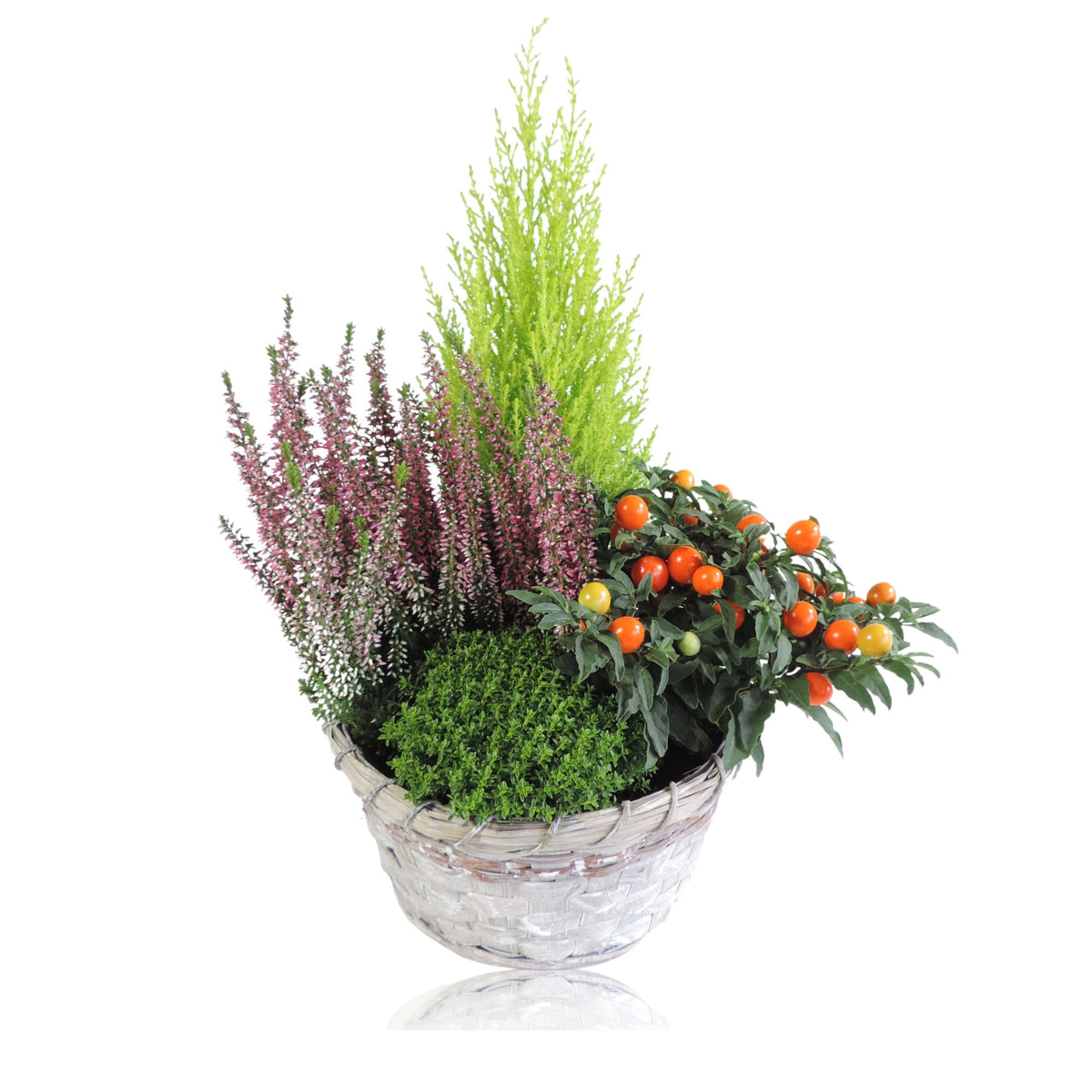 Outdoor arrangement 40cm 20cm Pot