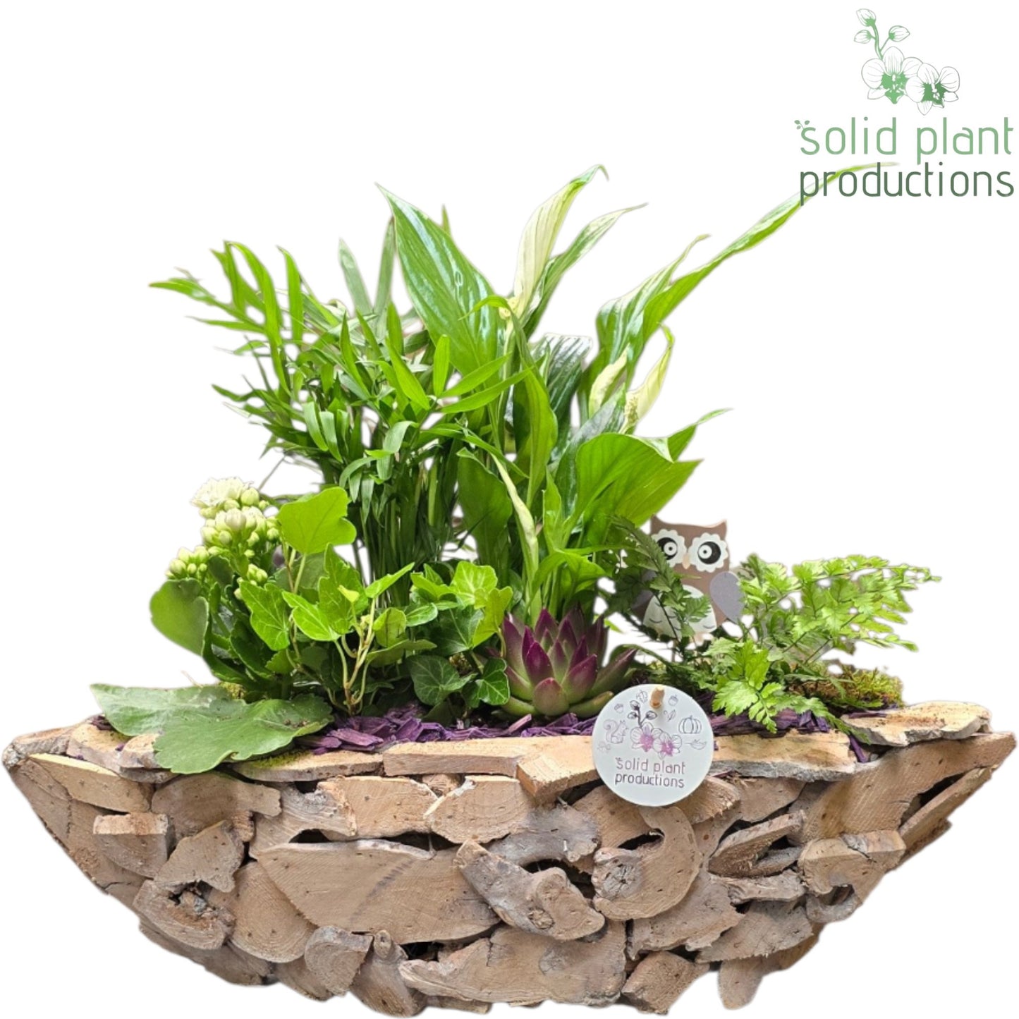 SCE012 Driftwood Boat White Washed Purple Autumn 45cm 46cm Pot