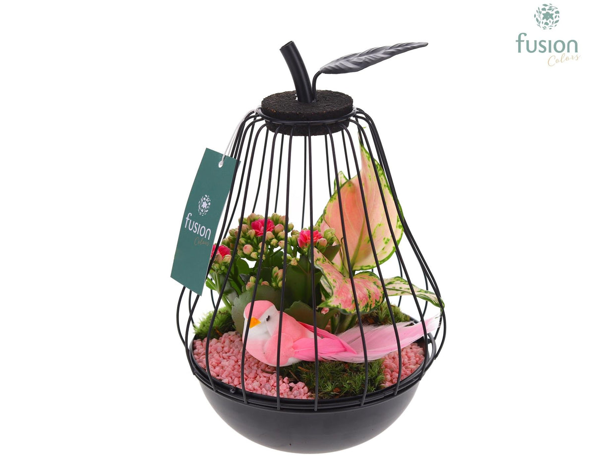 Metaal peer zwart Small met arrangement 25cm 17cm Pot