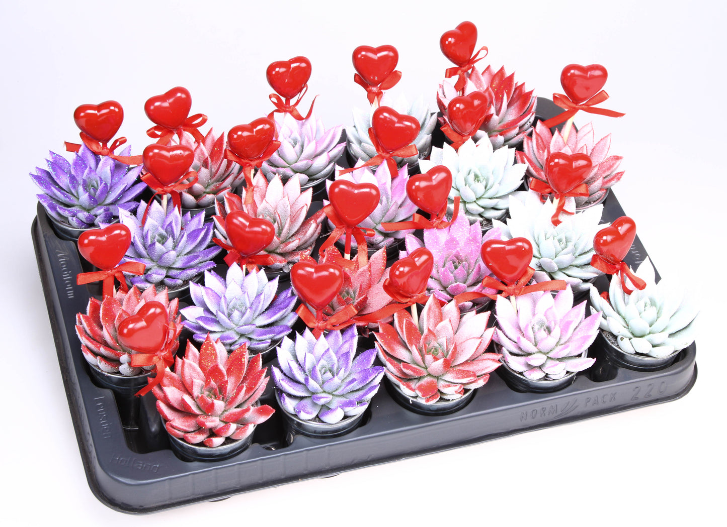 Euro Cactus Holland Bv Miranda Valentine Glittermix Zink + hartje Pack of 20