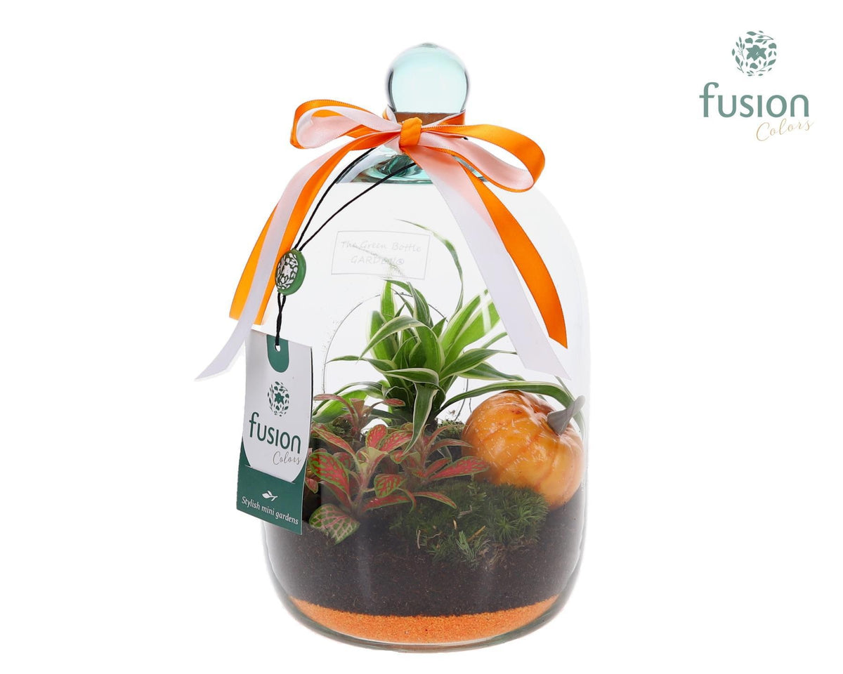 Green Bottle Novella Small met arrangement 25cm 15cm Pot