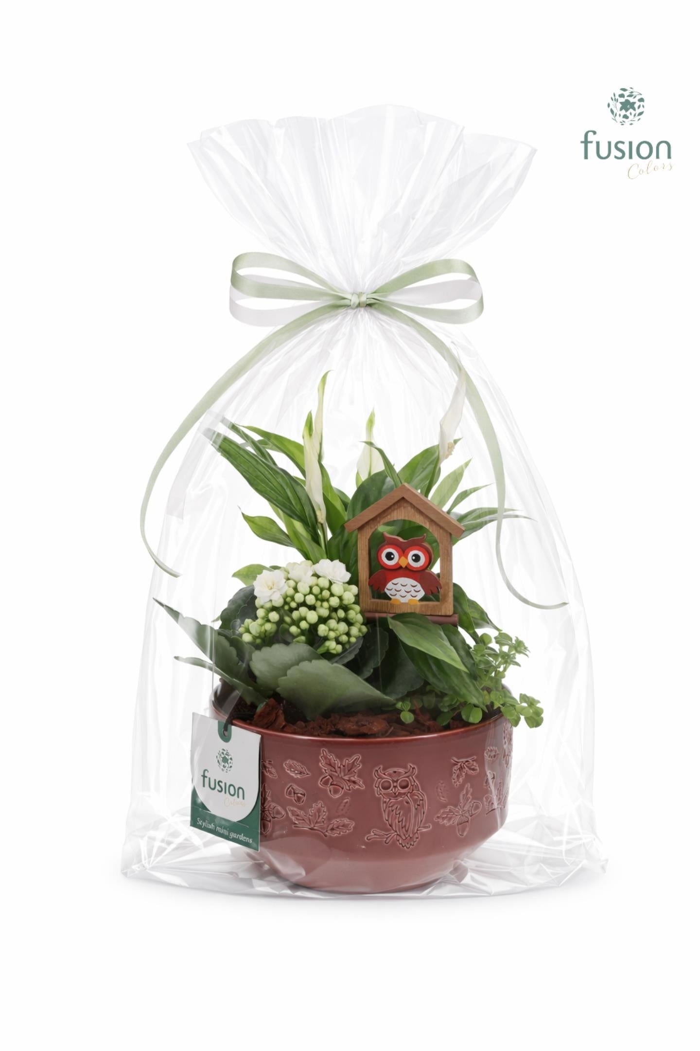 Keramiek schaal Small met arrangement in klaphoes 35cm 15cm Pot