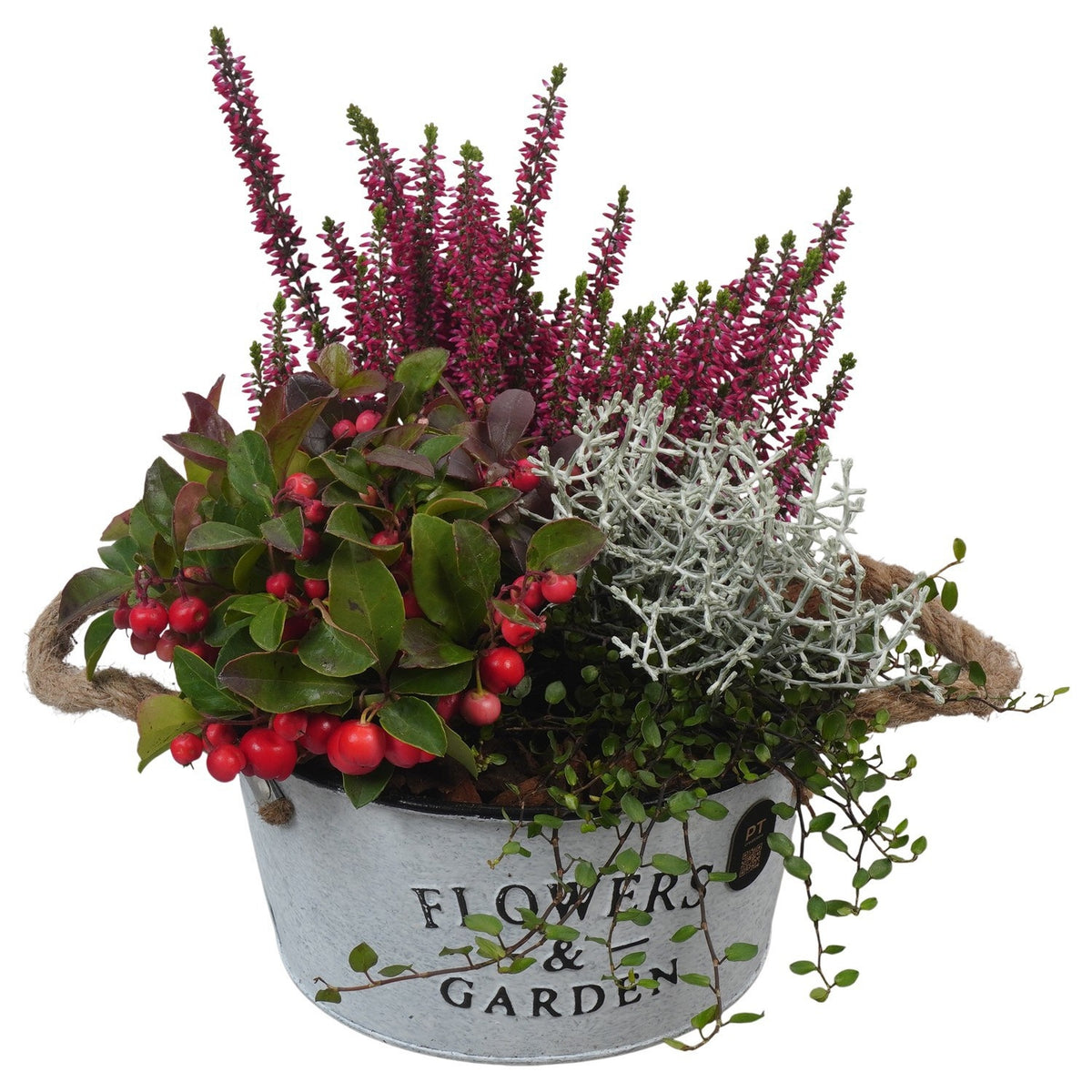Outdoor arrangement 28cm 19cm Pot