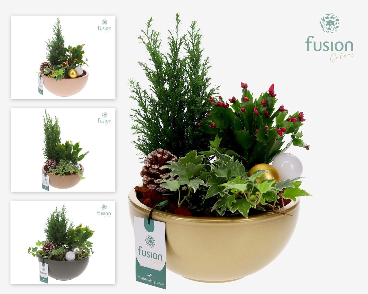 Keramiek moonschaal Large met Kerstarrangement 43cm 22cm Pot