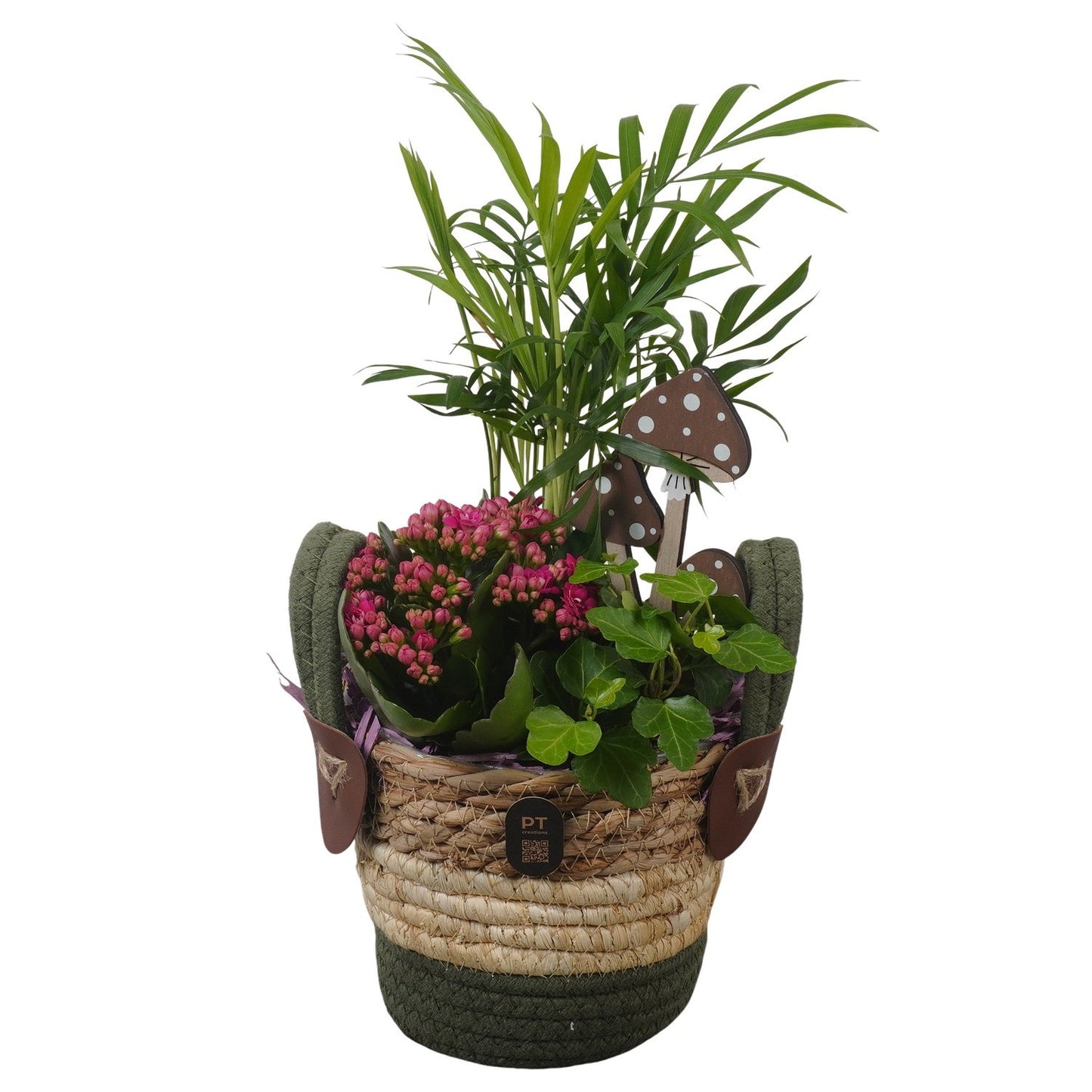 Indoor arrangement 36cm 14cm Pot