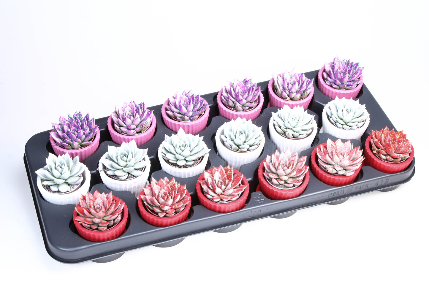 Miranda Valentine glittermix Cupcake pot 10cm 506cm Pot
