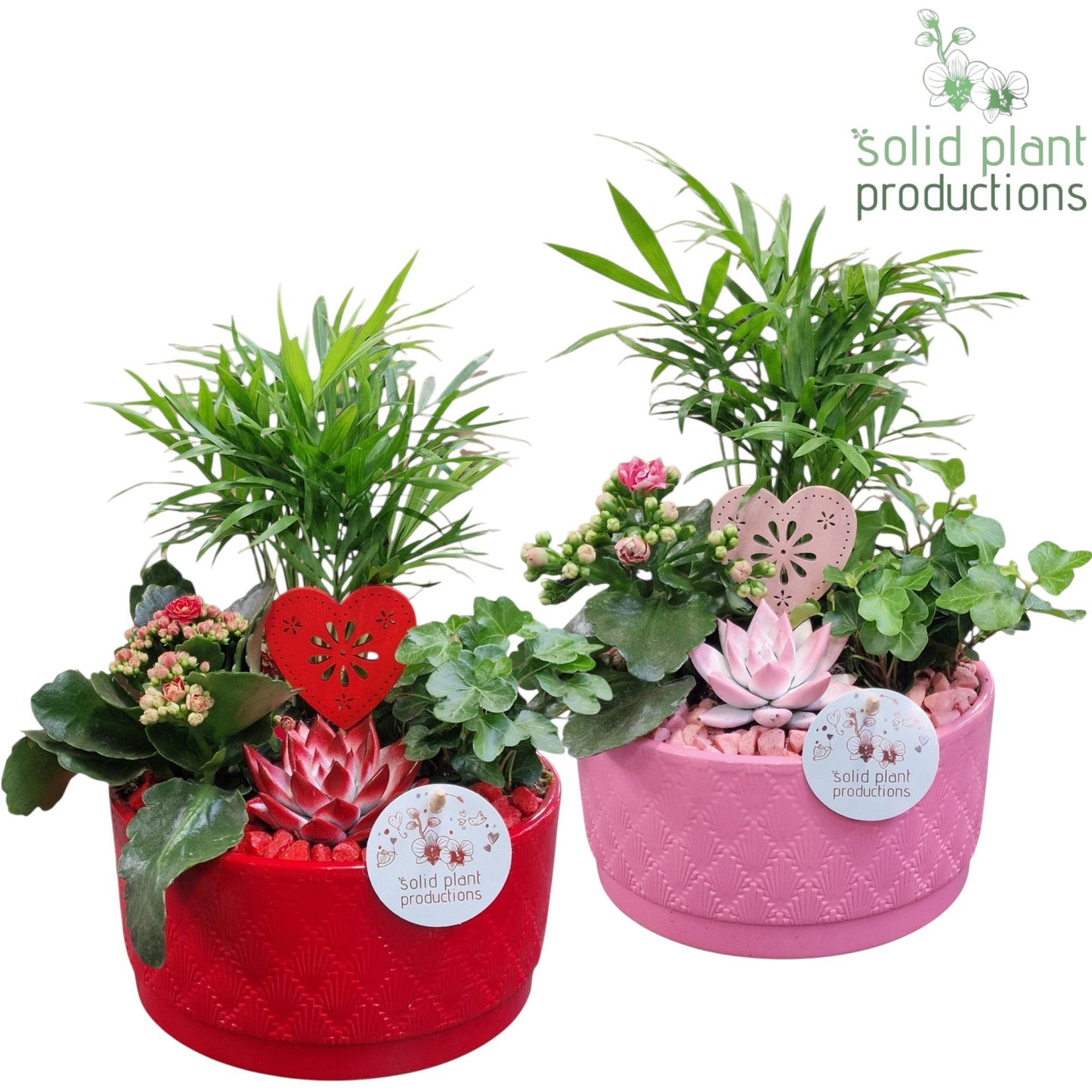 CE003 Loes Mix R/P 35cm 18cm Pot