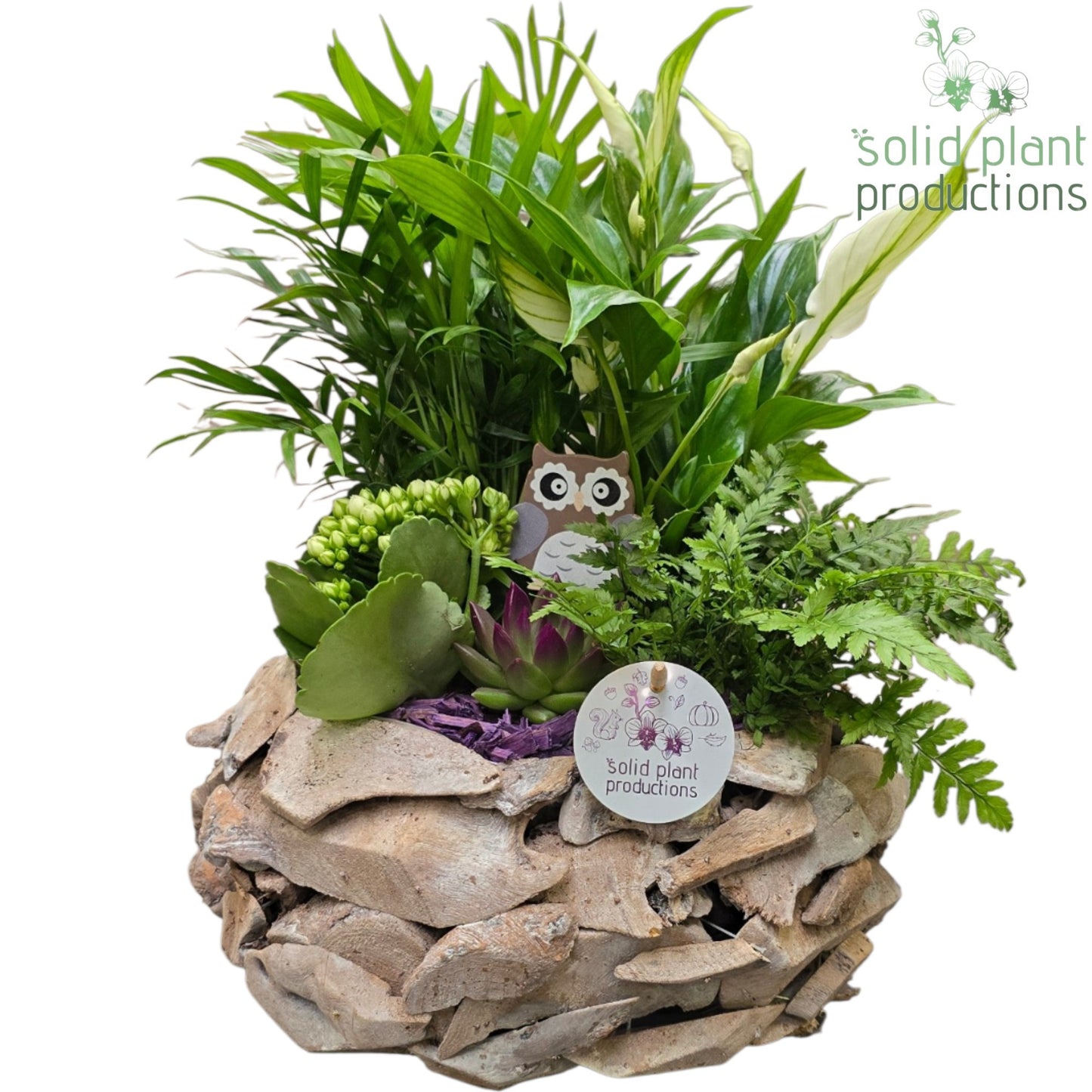SCE013 Driftwood Round White Washed Purple Autumn 45cm 31cm Pot