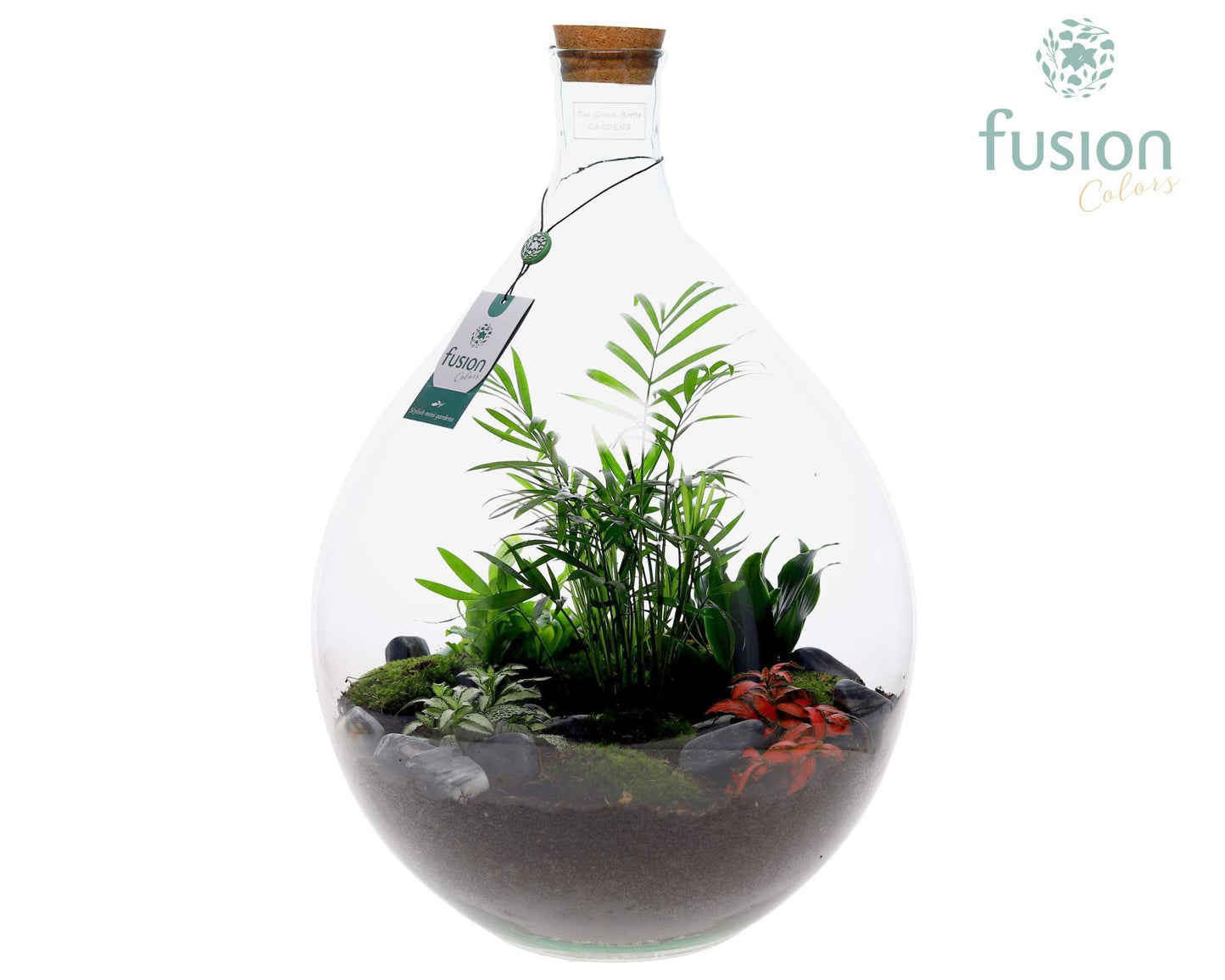 Green Bottle Gallon met Arrangement groene planten 5pp 55cm 35cm Pot