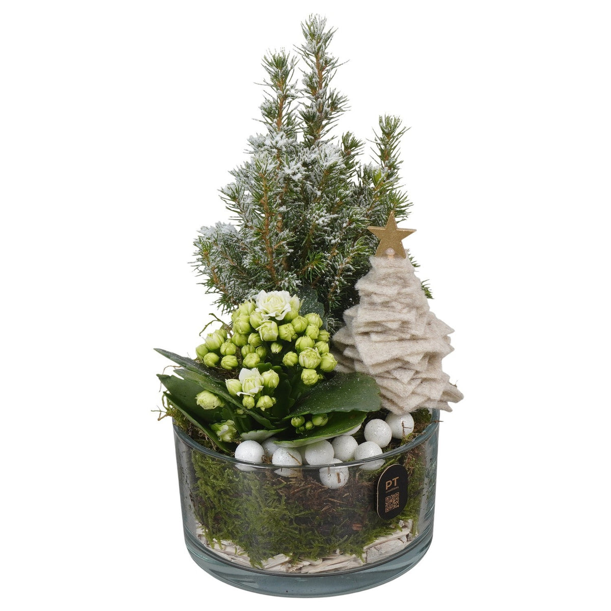 Christmas arrangement 26cm 14cm Pot