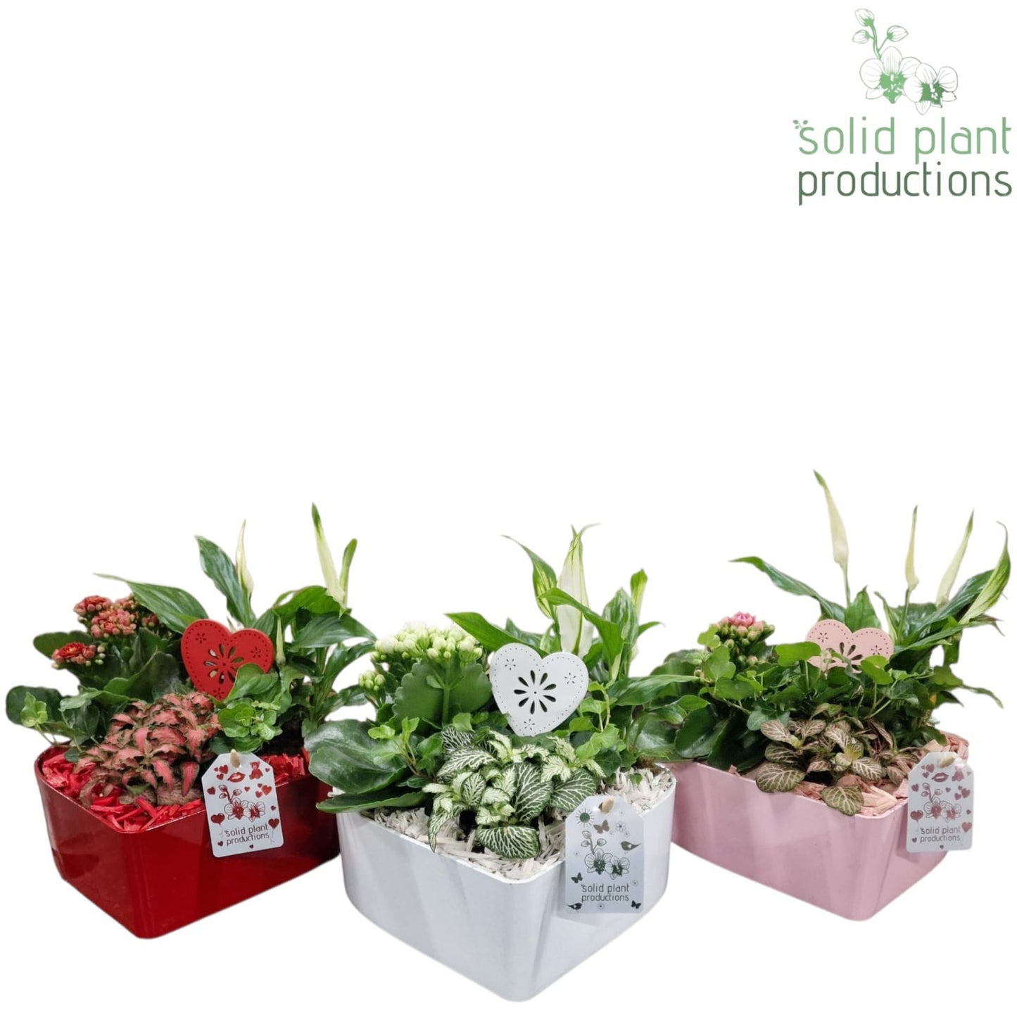 SE029 Hart Mix 30cm 22cm Pot