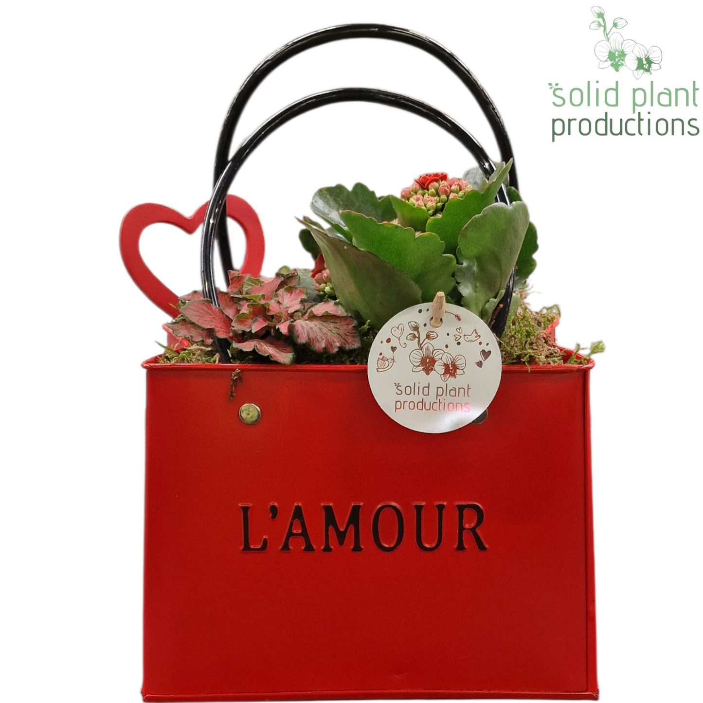 ZKE001 Love Red Bag Large 28cm 18cm Pot