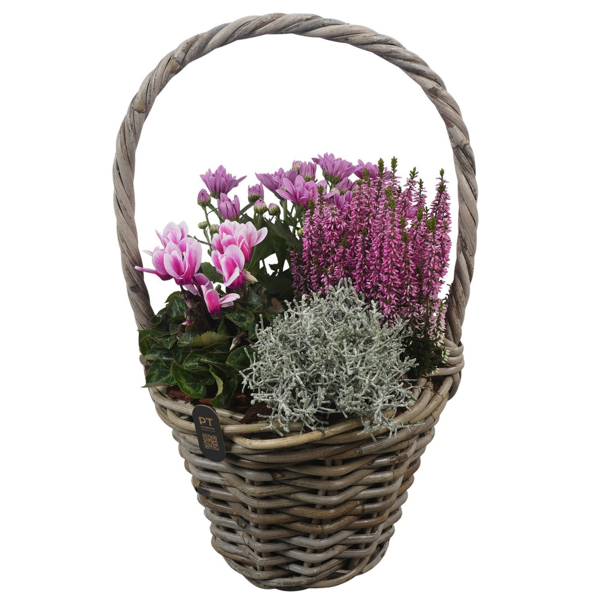 Outdoor arrangement 50cm 26cm Pot