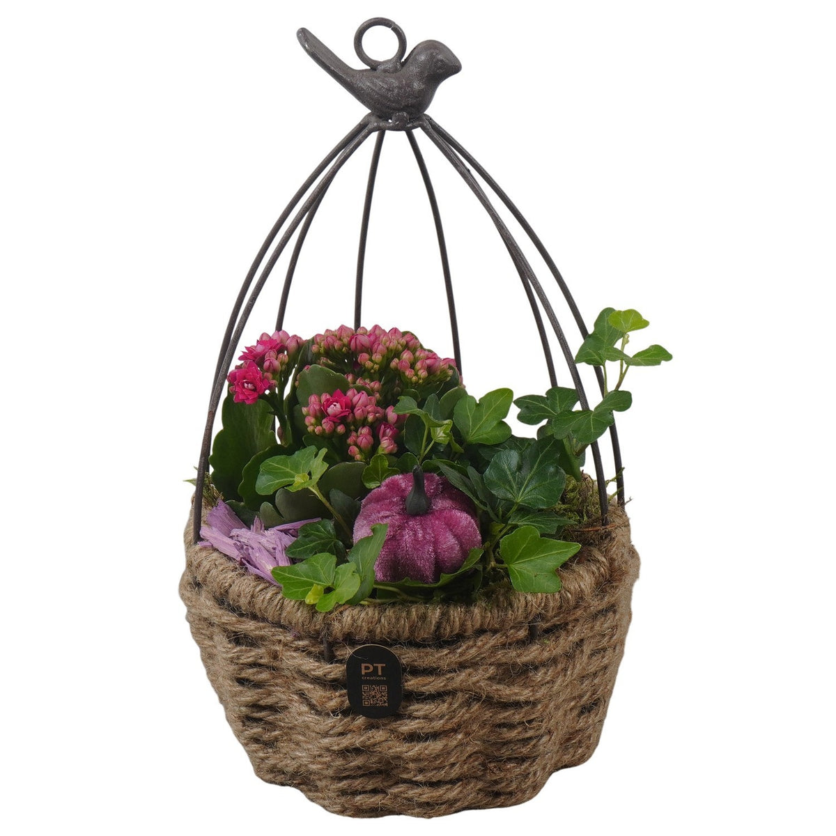 Indoor arrangement 30cm 16cm Pot