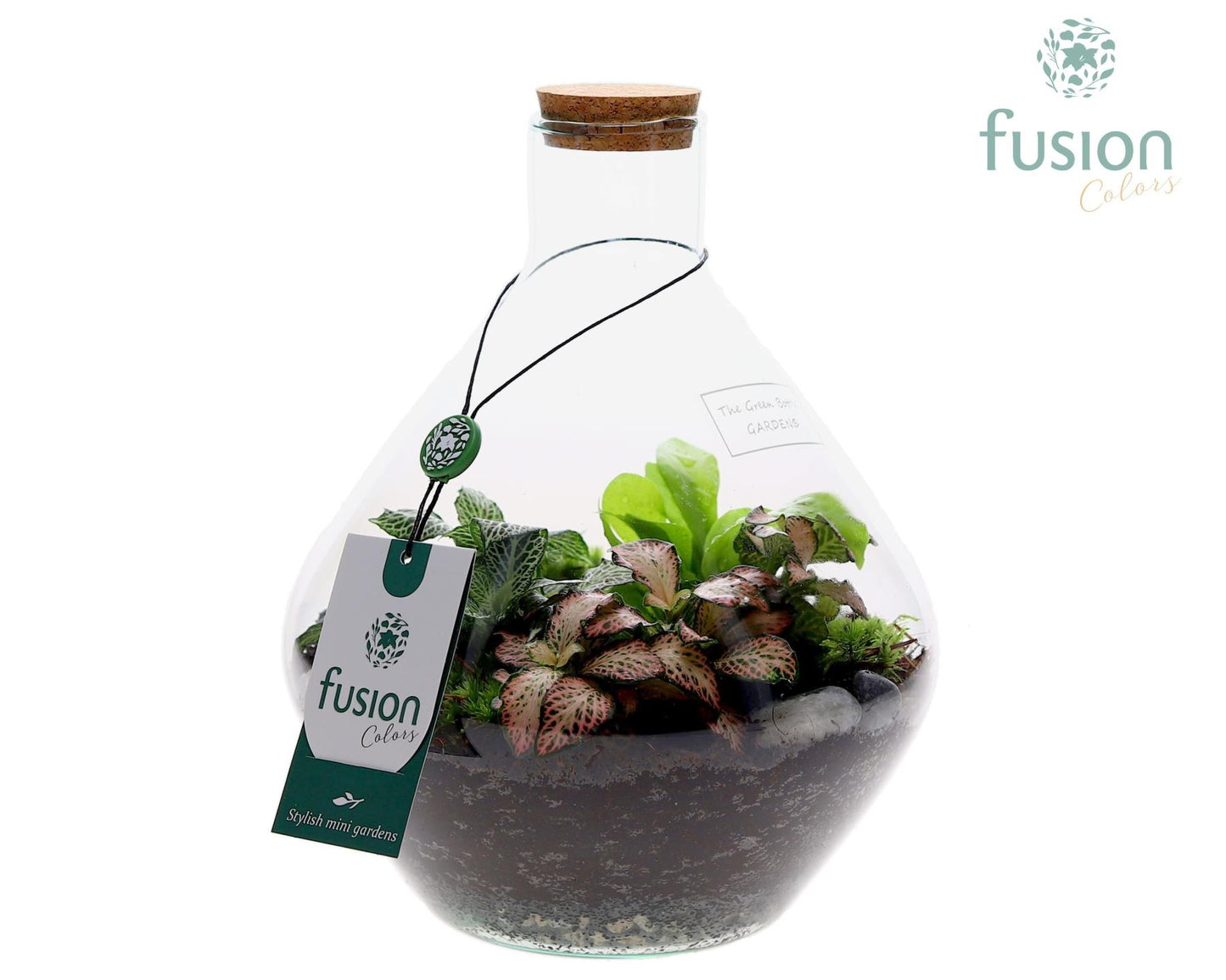 Terrarium John Small met arrangement 25cm 19cm Pot