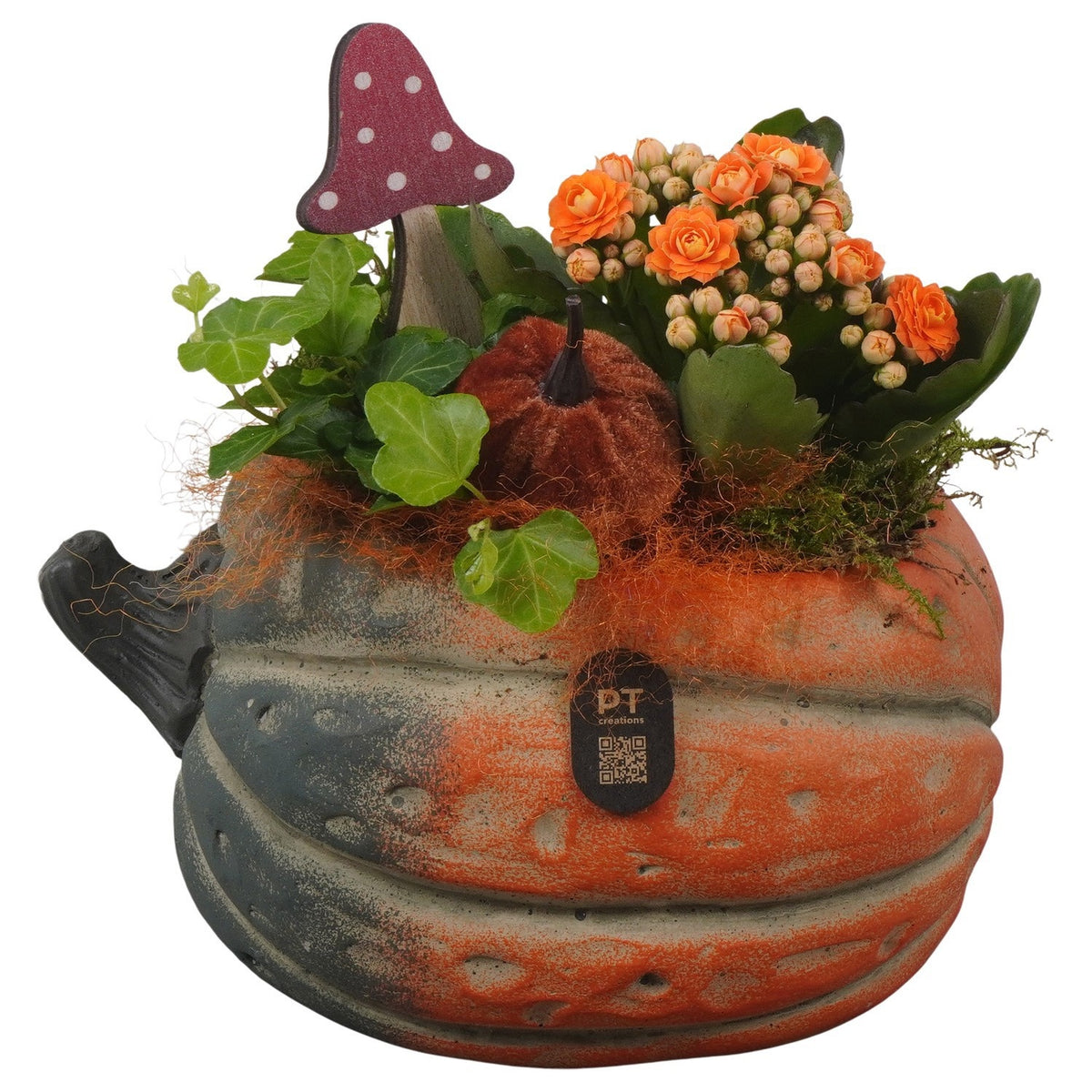 Indoor arrangement 19cm 18cm Pot