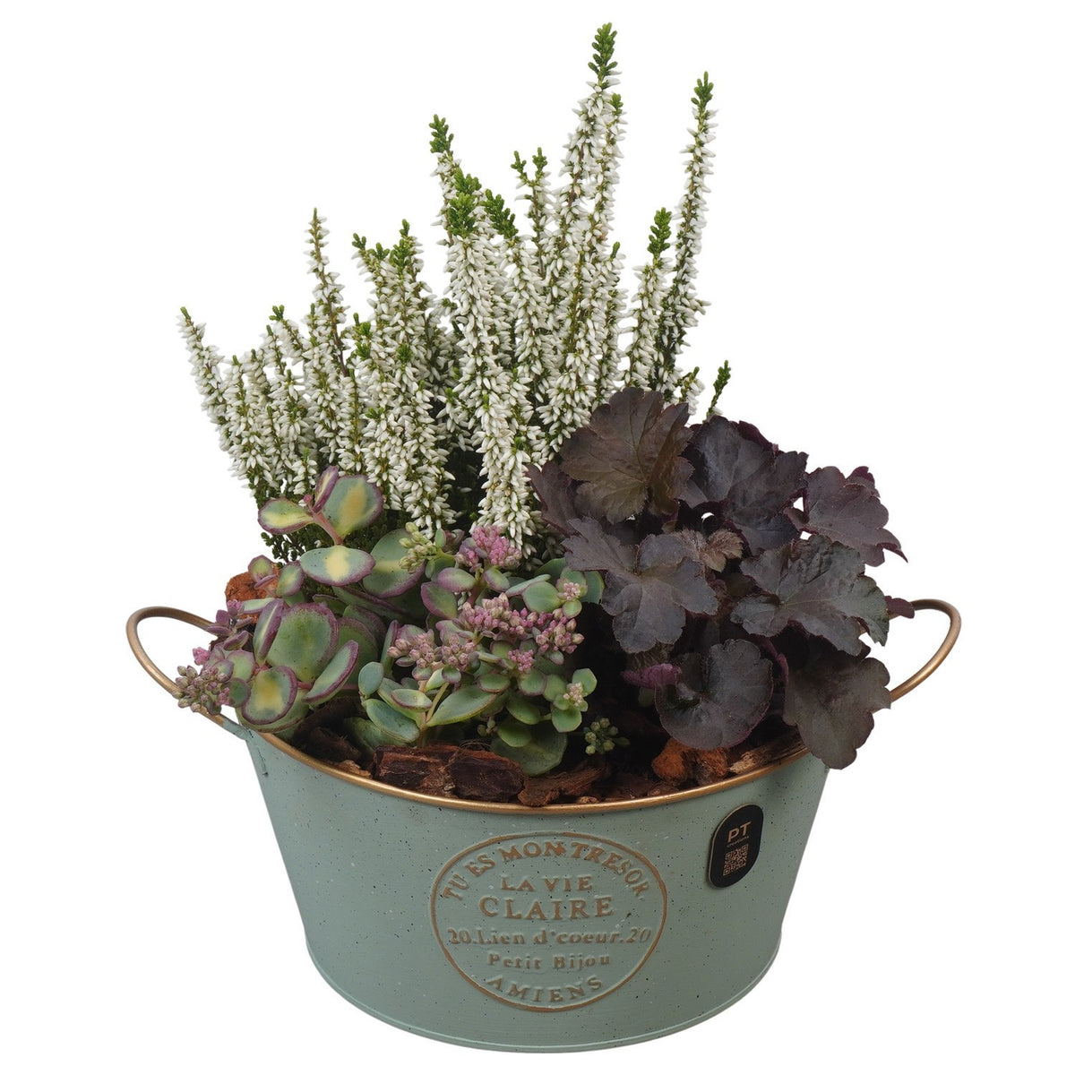 Outdoor arrangement 31cm 20cm Pot