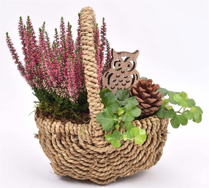 Outdoor arrangement 20cm Pot