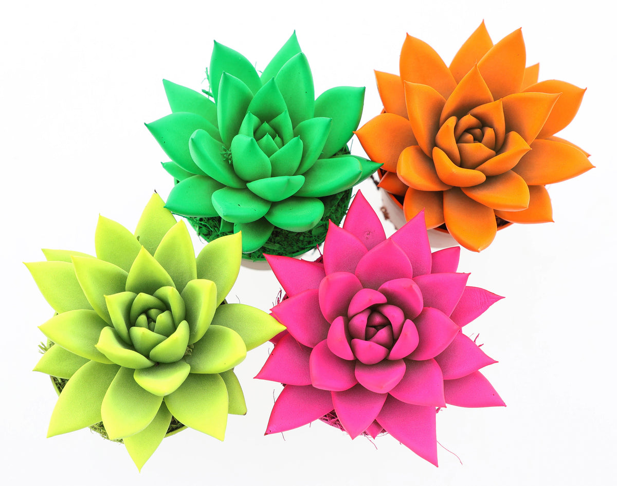 Rainbow neon mix 8cm 6cm Pot