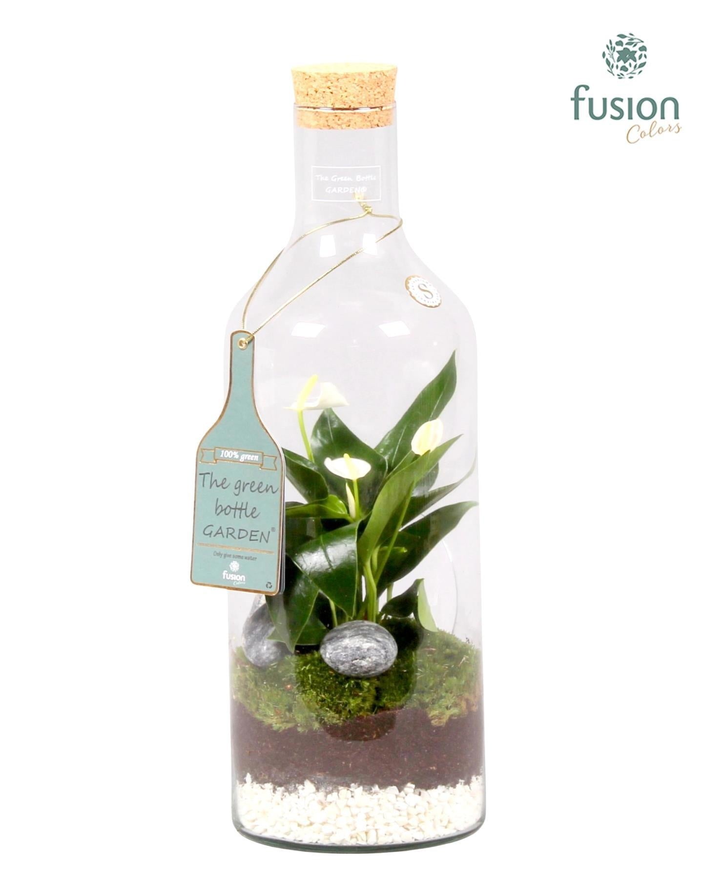 Green Bottle Fles Medium met Anthurium 43cm 15cm Pot