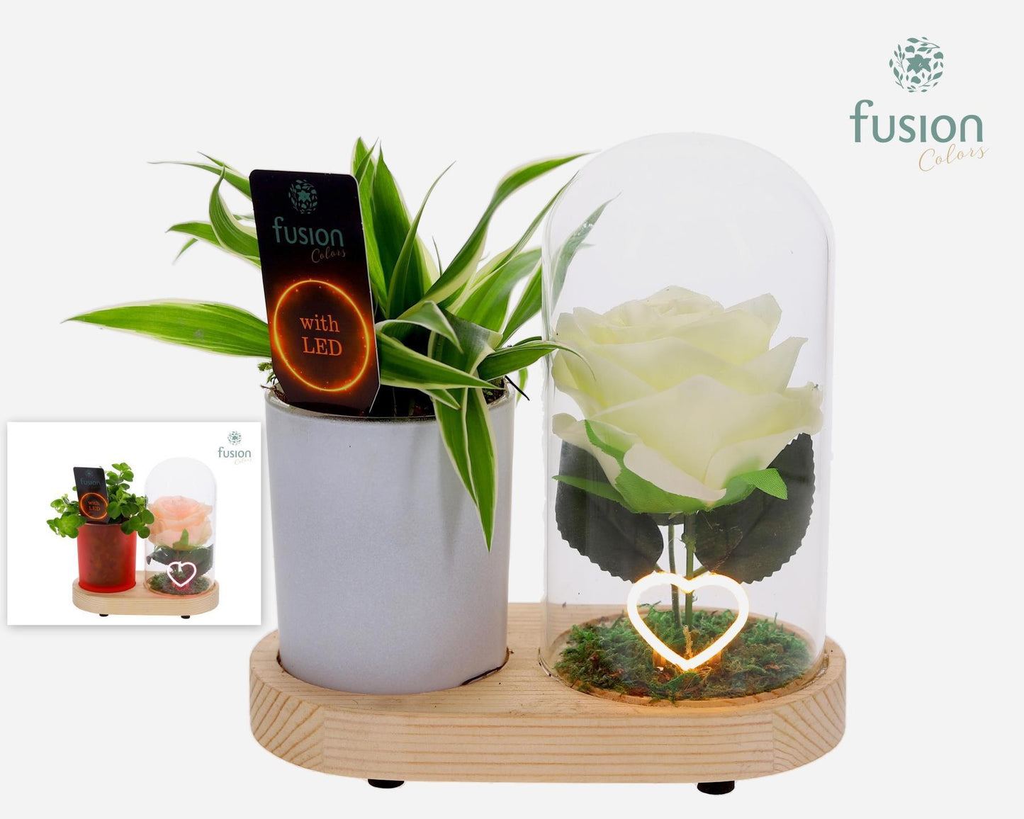 LED Lichtbal Hart houten planter met Groen planten 15cm 17cm Pot