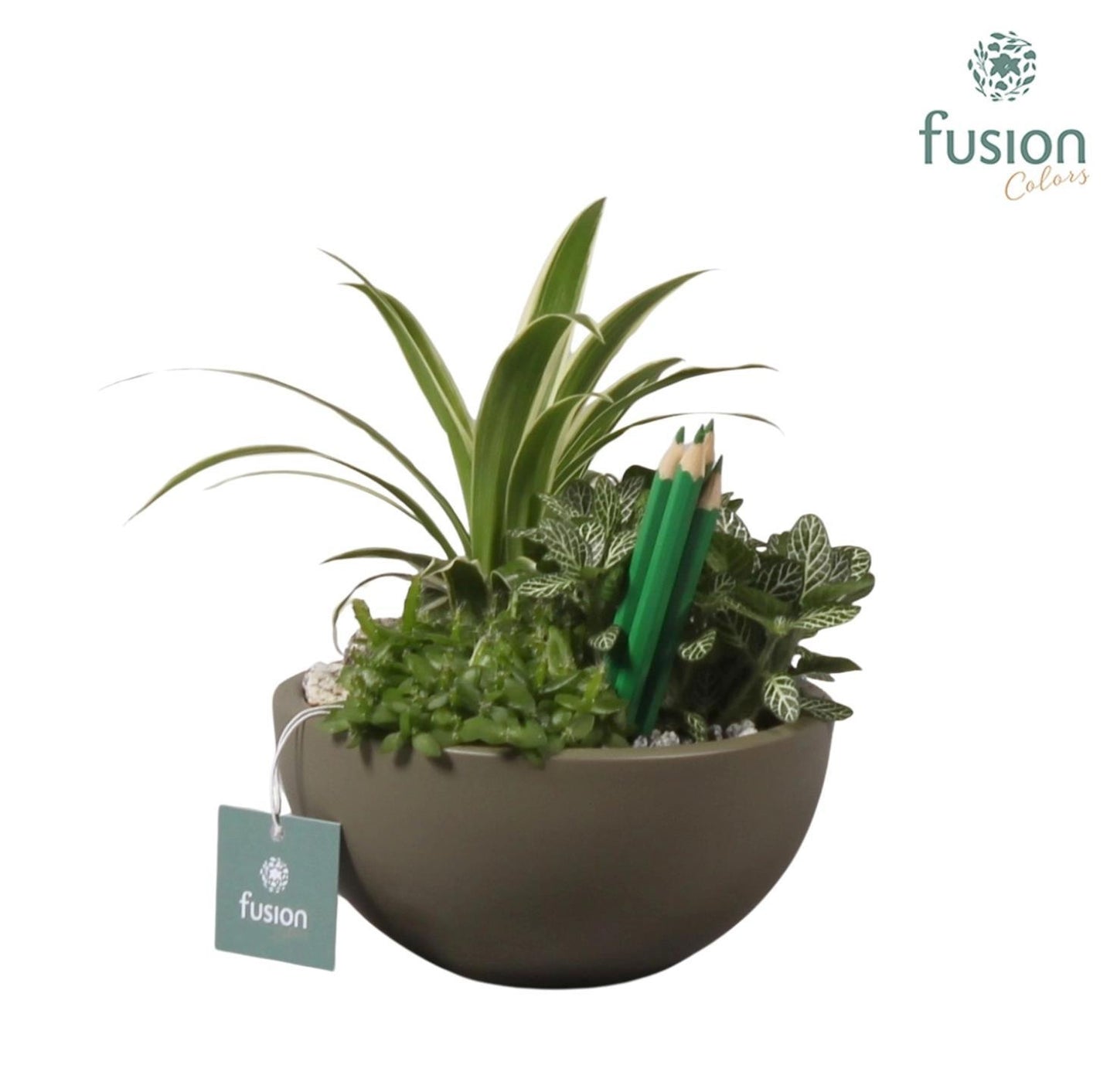 kermamiek moonschaal met 25cm 15cm Pot