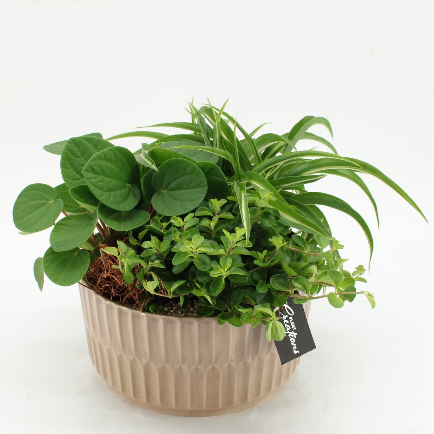 GRCR-2628 Green Essentials 25cm 22cm Pot